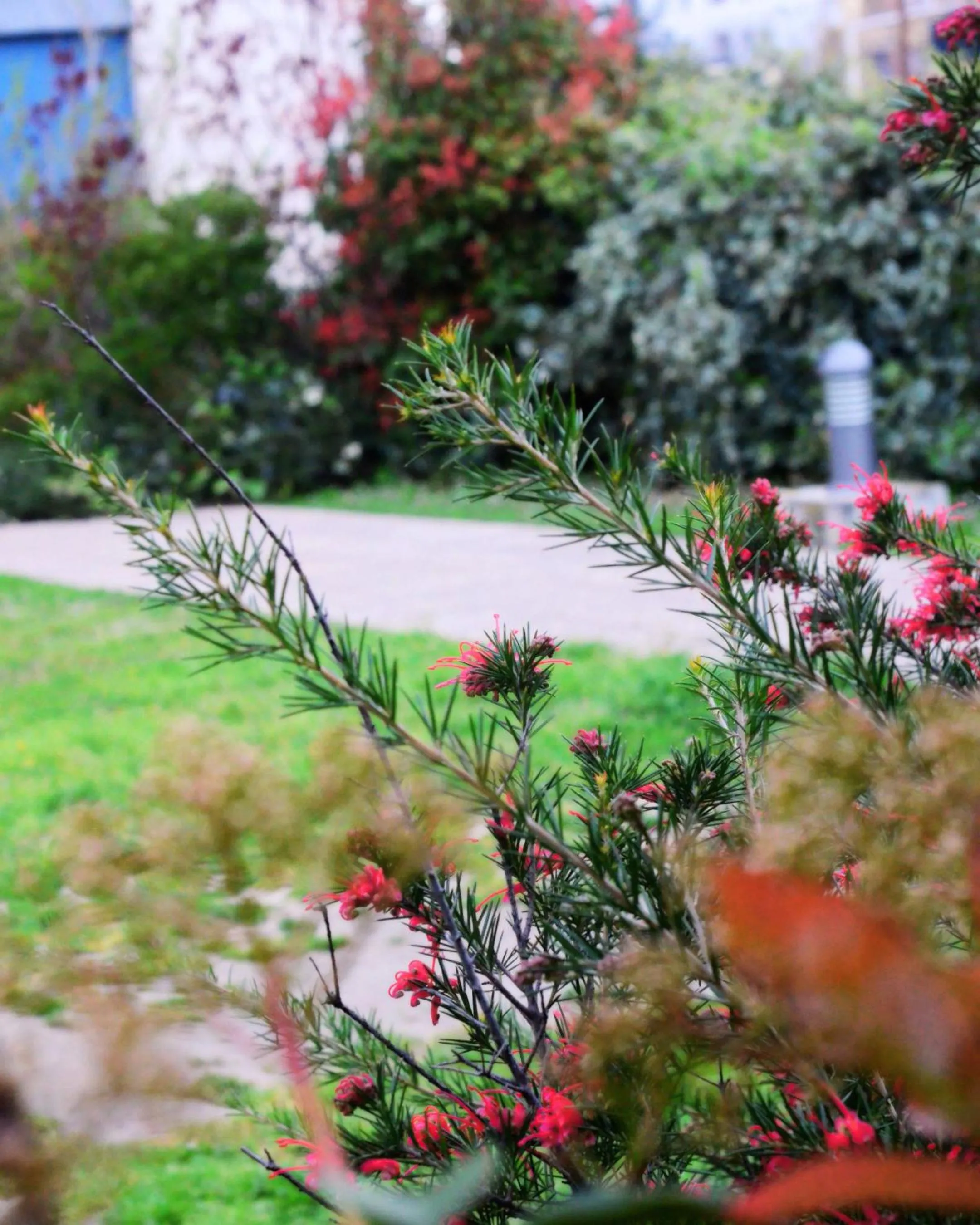 Garden view in Chambre Privée - TOUT CONFORT - WIFI