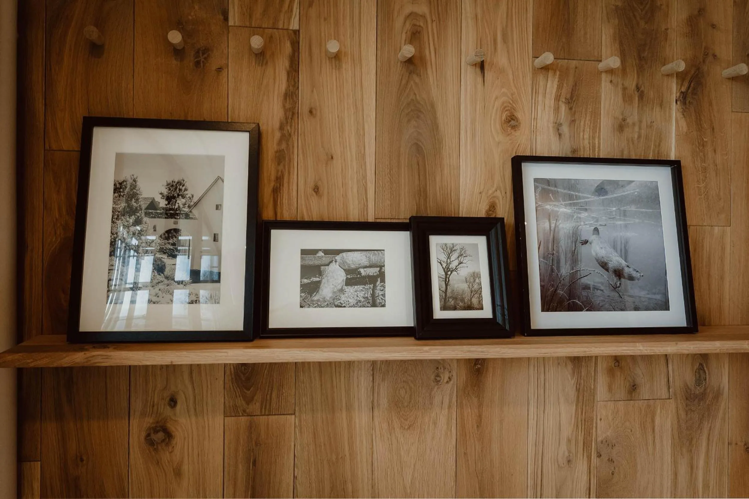 Photo of the whole room in Naturhotel Die Maise