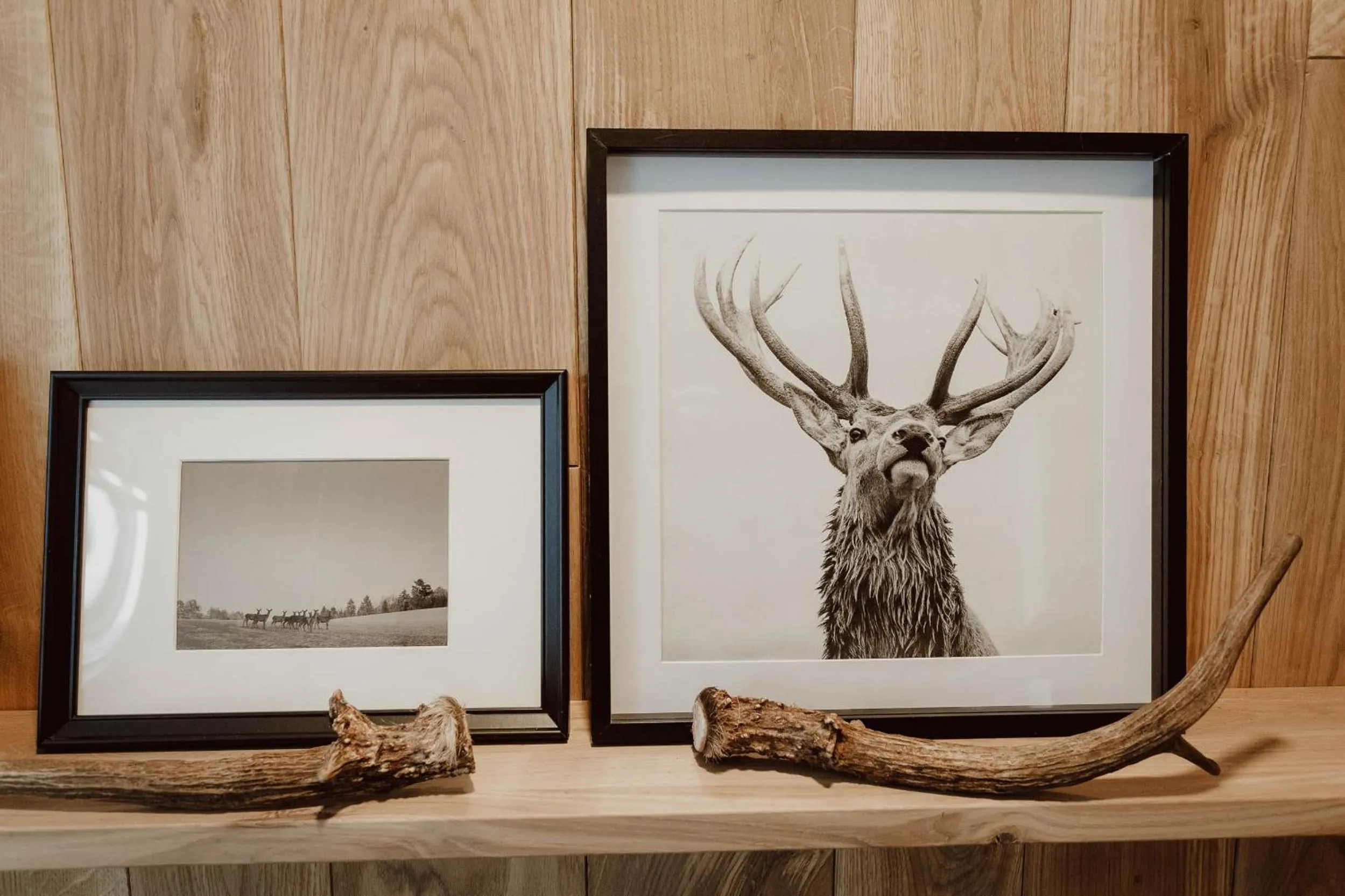 Photo of the whole room in Naturhotel Die Maise