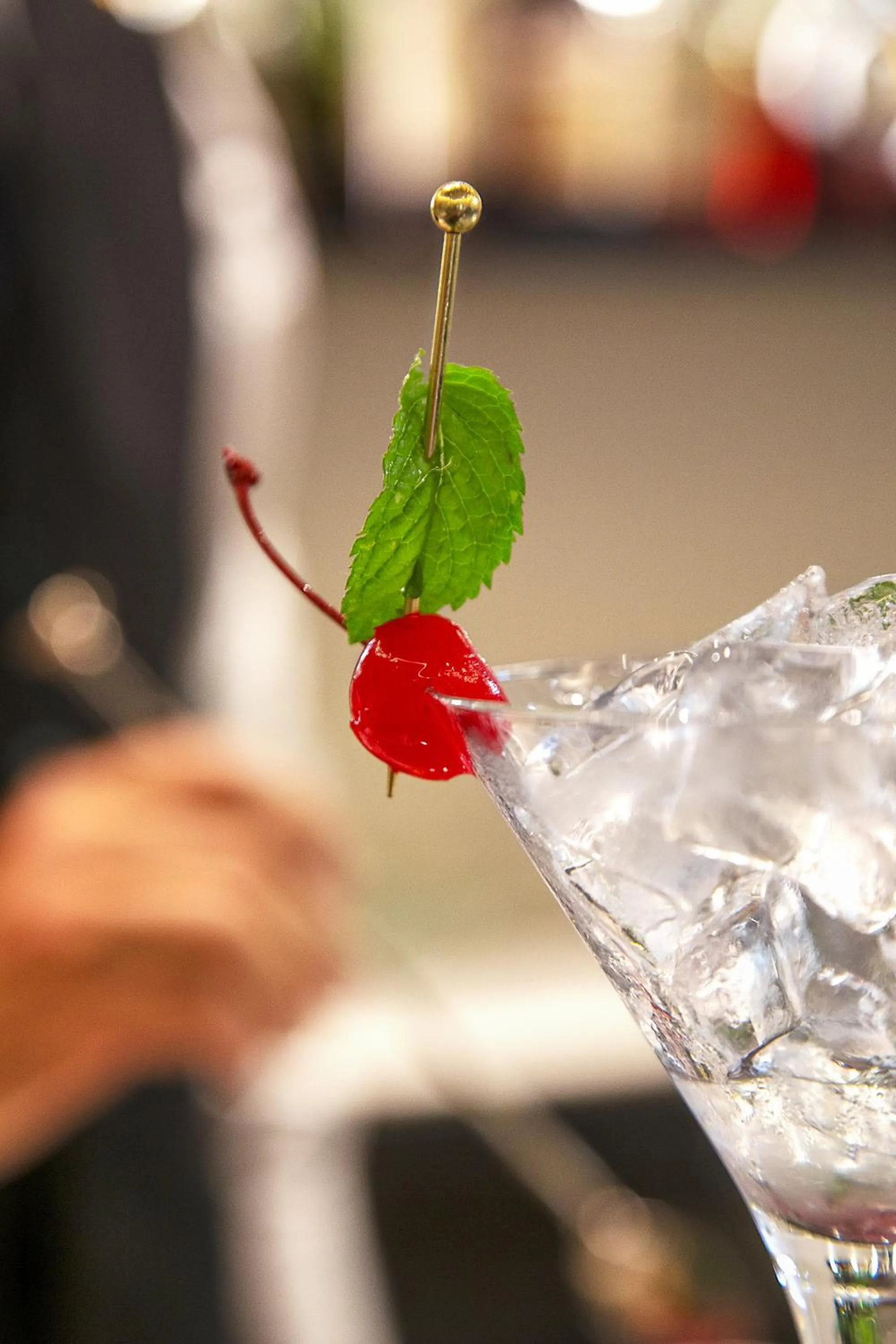 Lounge or bar in Hotel Vannucci