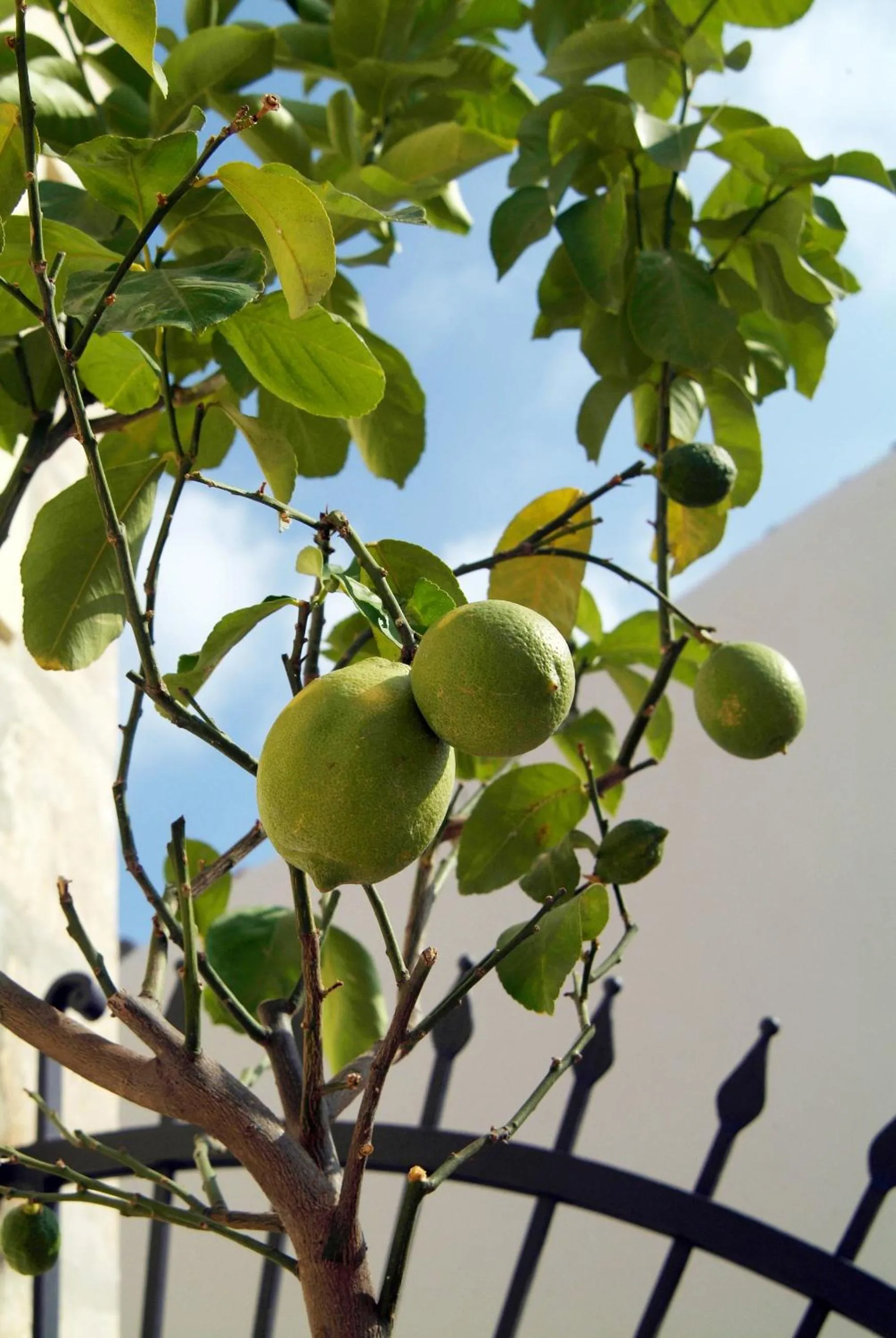 Facade/entrance in Palazzo Failla Hotel