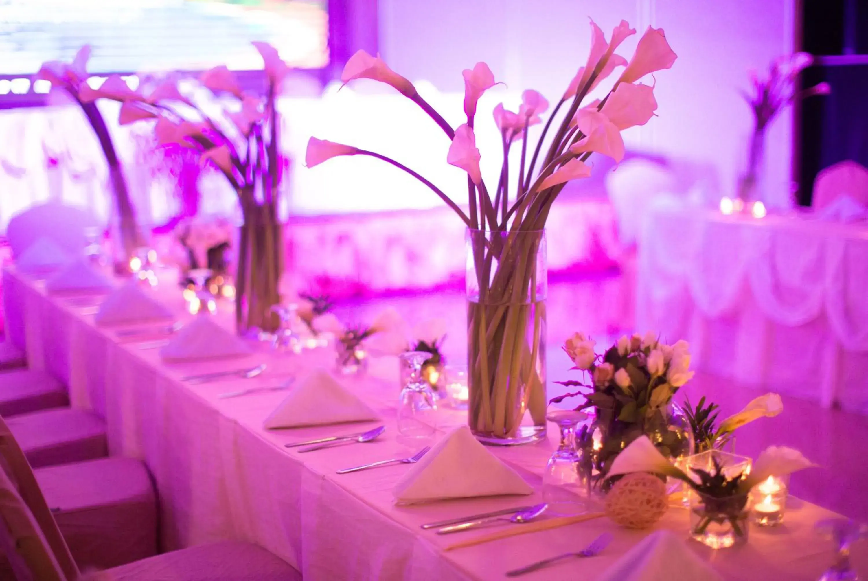 Restaurant/places to eat in Aziza Paradise Hotel Restaurant/places to eat in Aziza Paradise Hotel