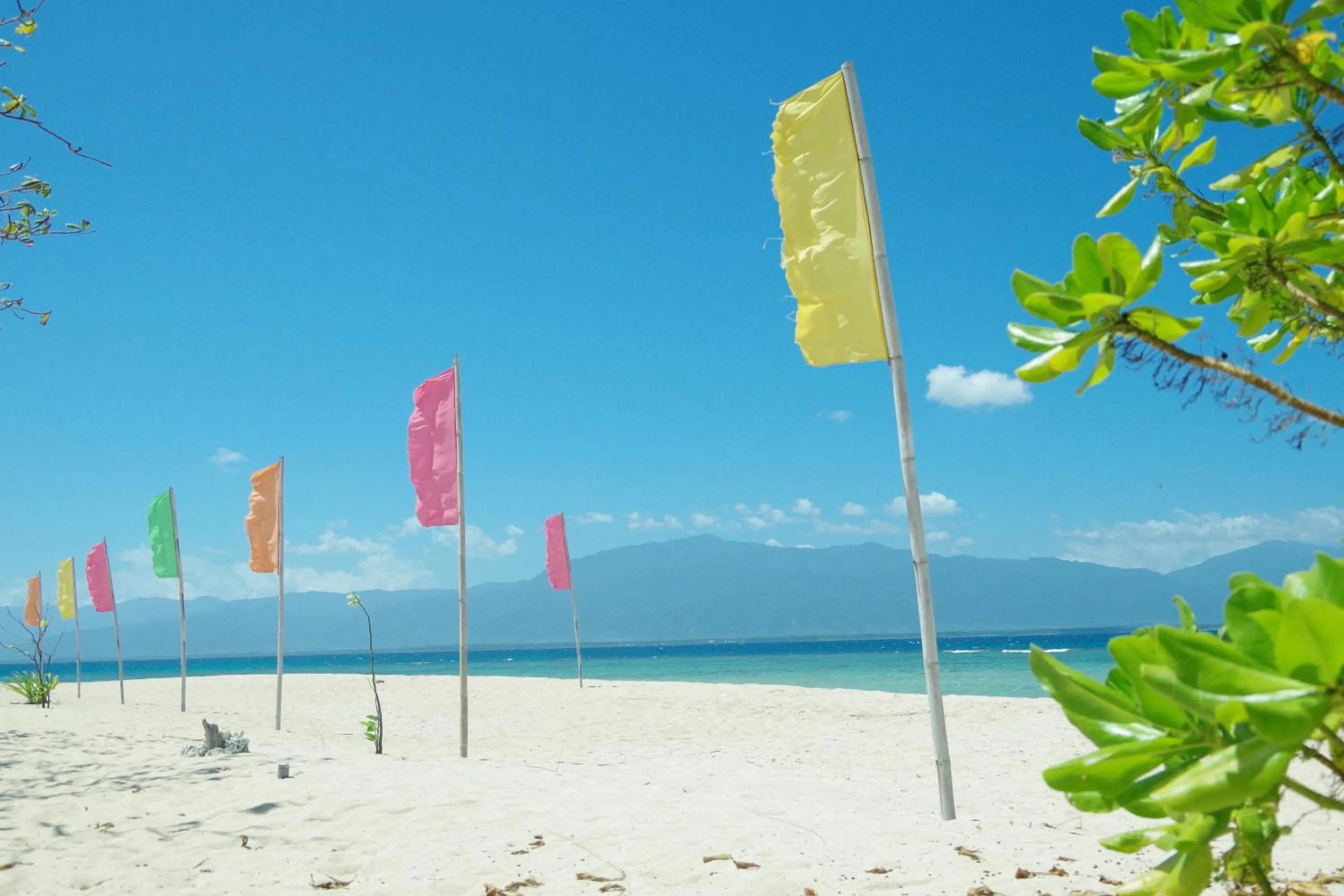 Arena Island Resort
