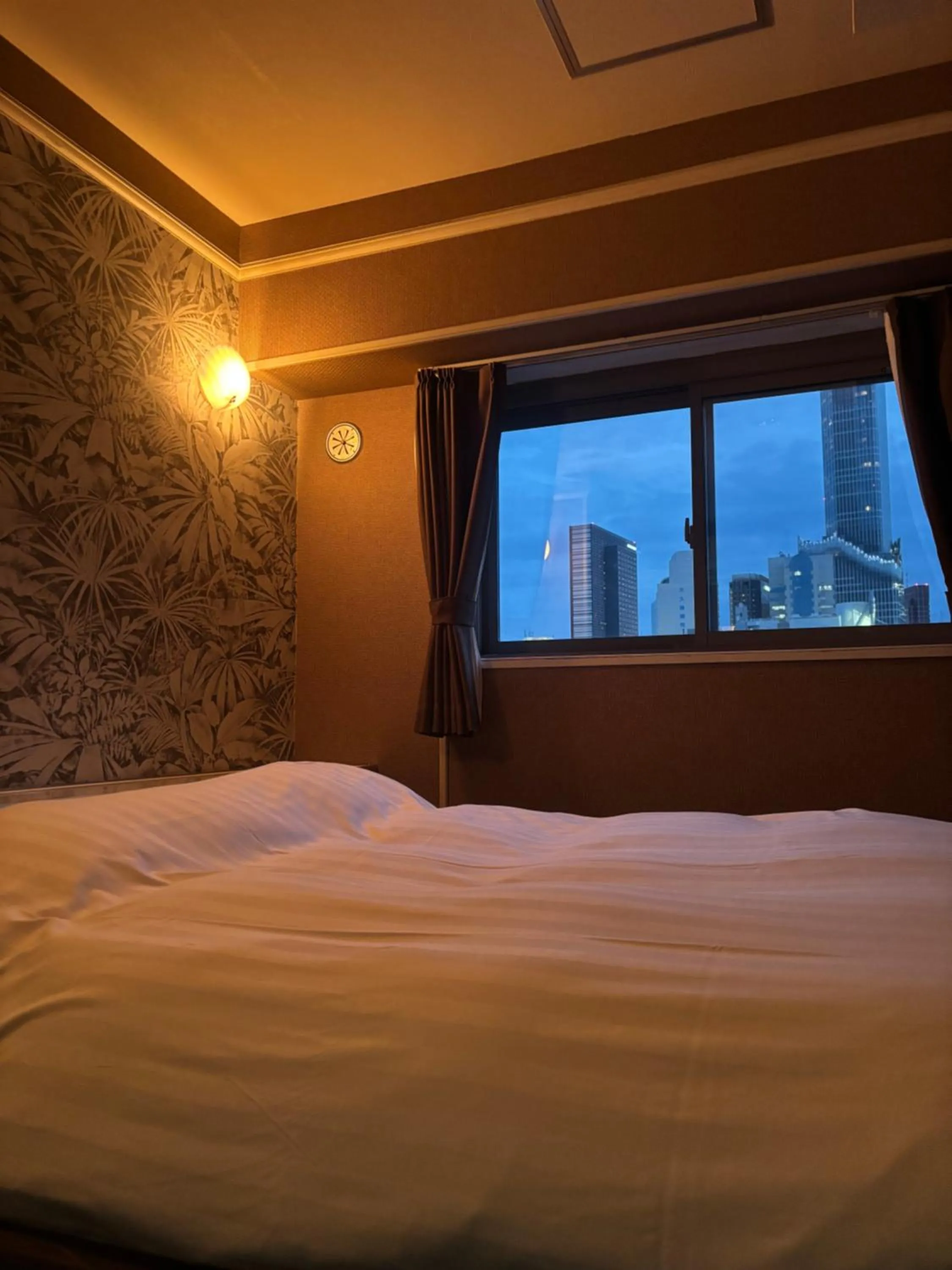 City Hotel Dolphin