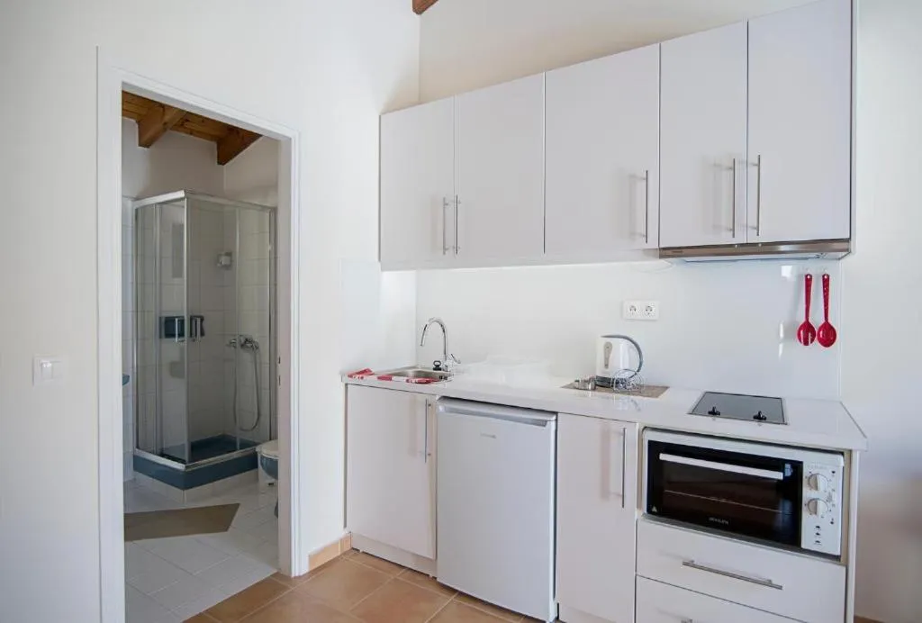 Kitchen or kitchenette in Filoxenia Kirki Apartments