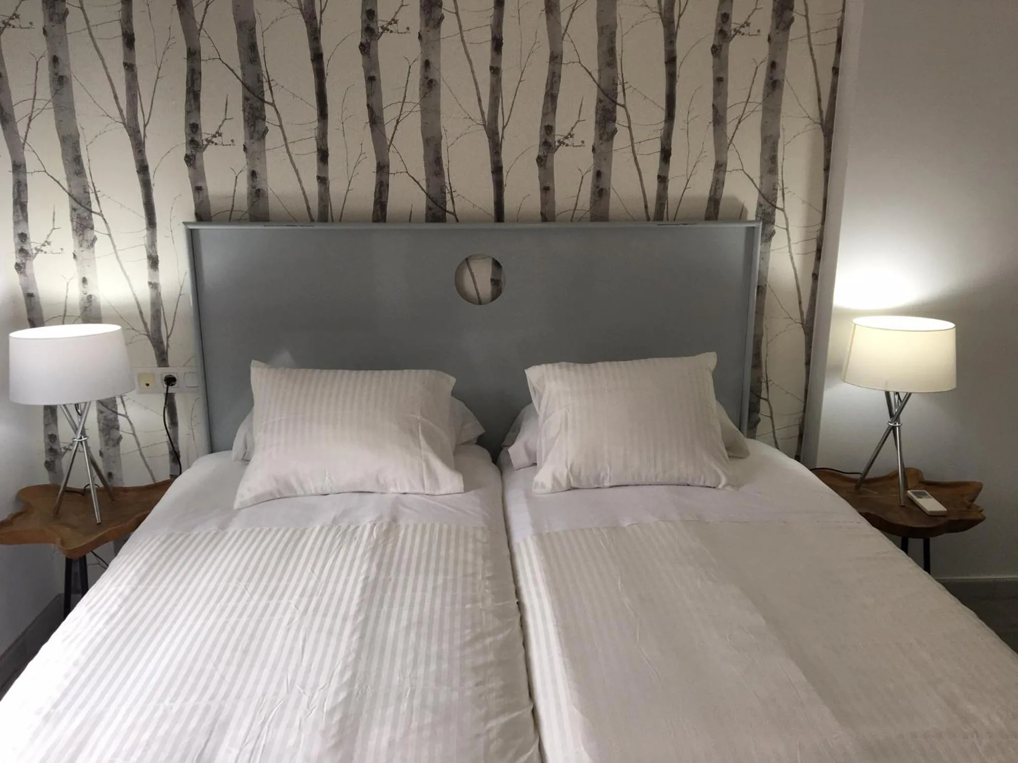 Correduria Premium Apartments