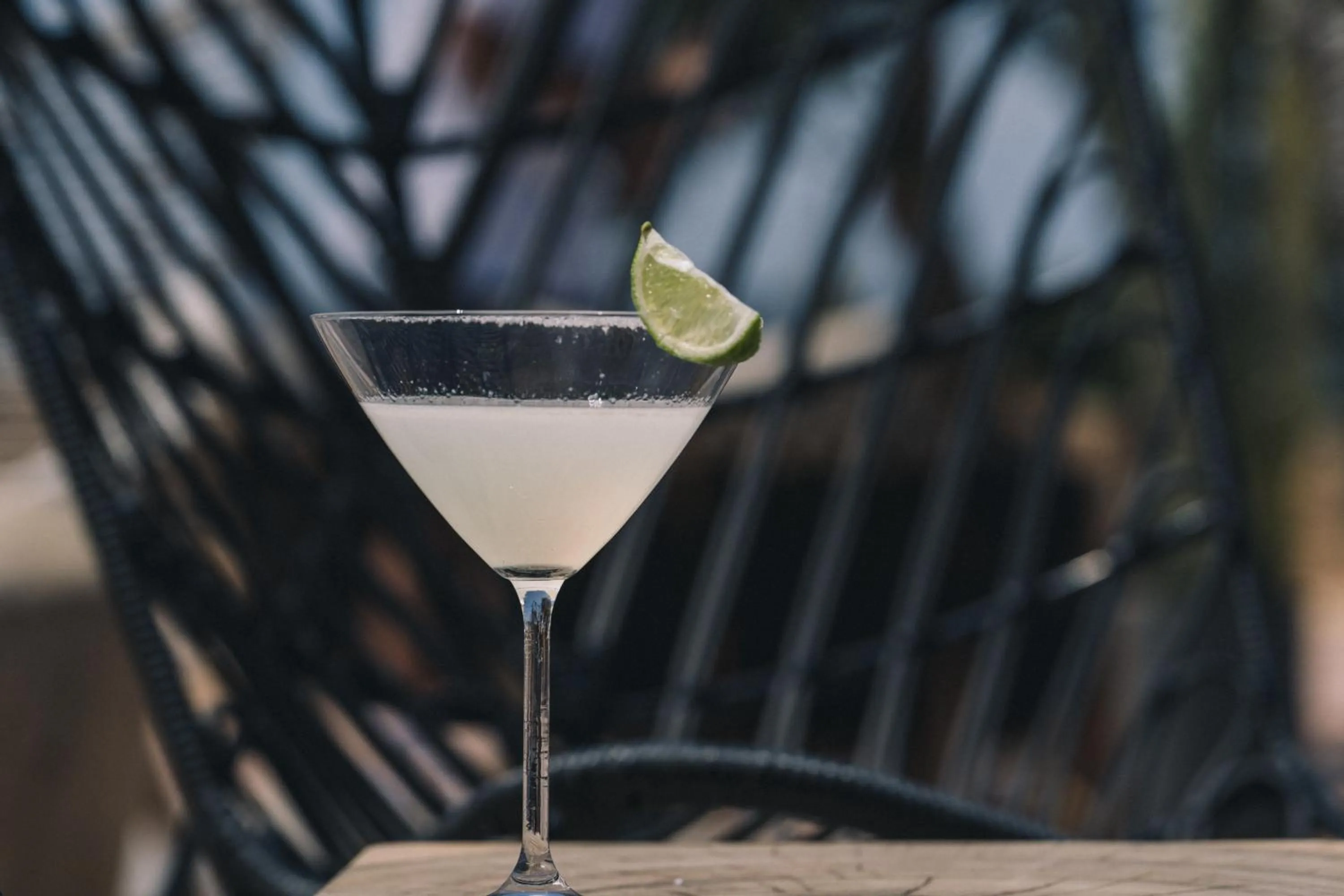 Lounge or bar in The Nest Resort