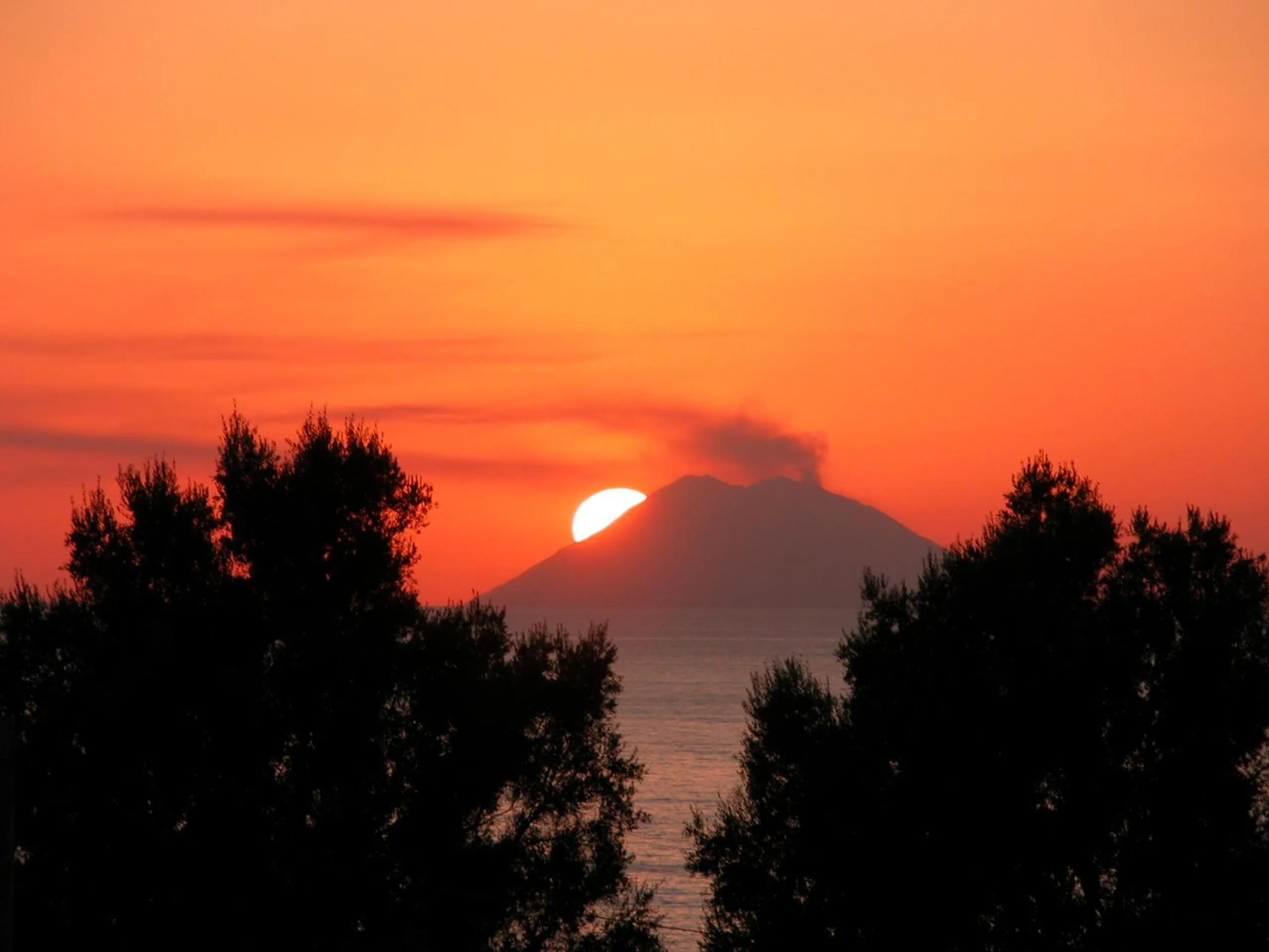 View (from property/room) in Hotel Tirreno