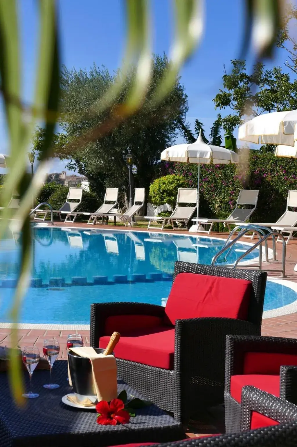 Swimming pool in Hotel Tirreno Swimming pool in Hotel Tirreno