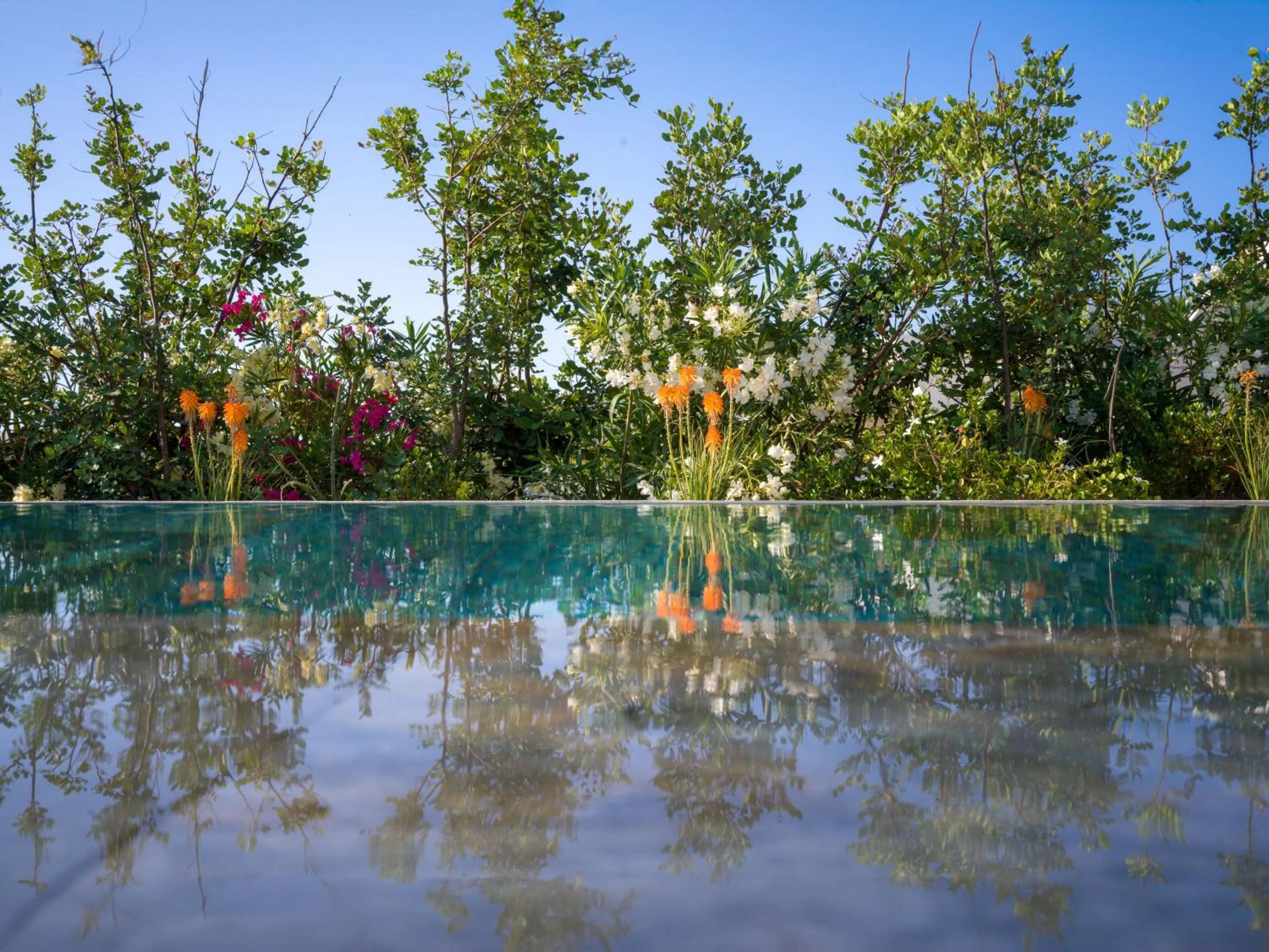 Swimming pool in Noūs Santorini