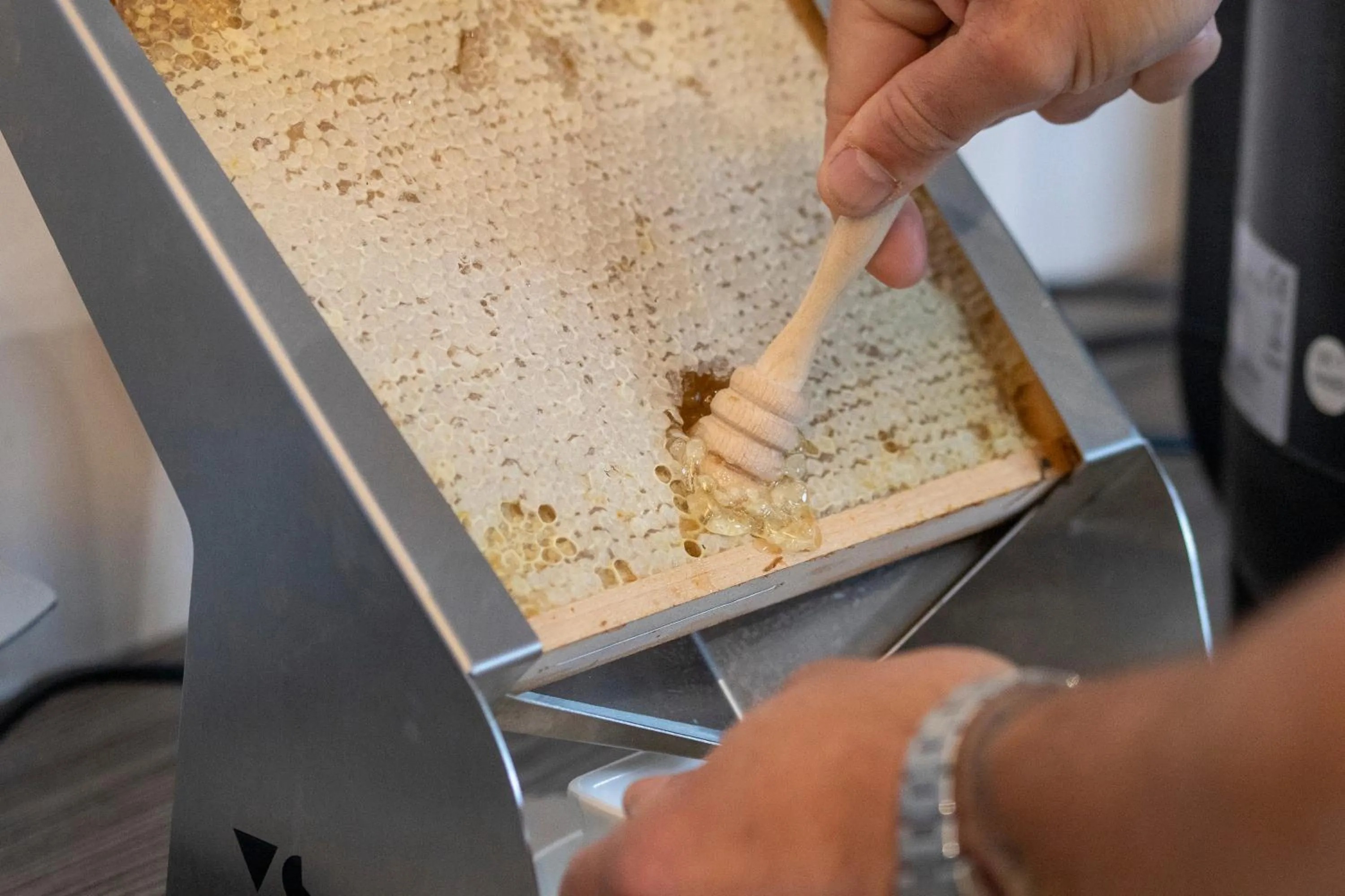 Continental breakfast in Tiby Hotel