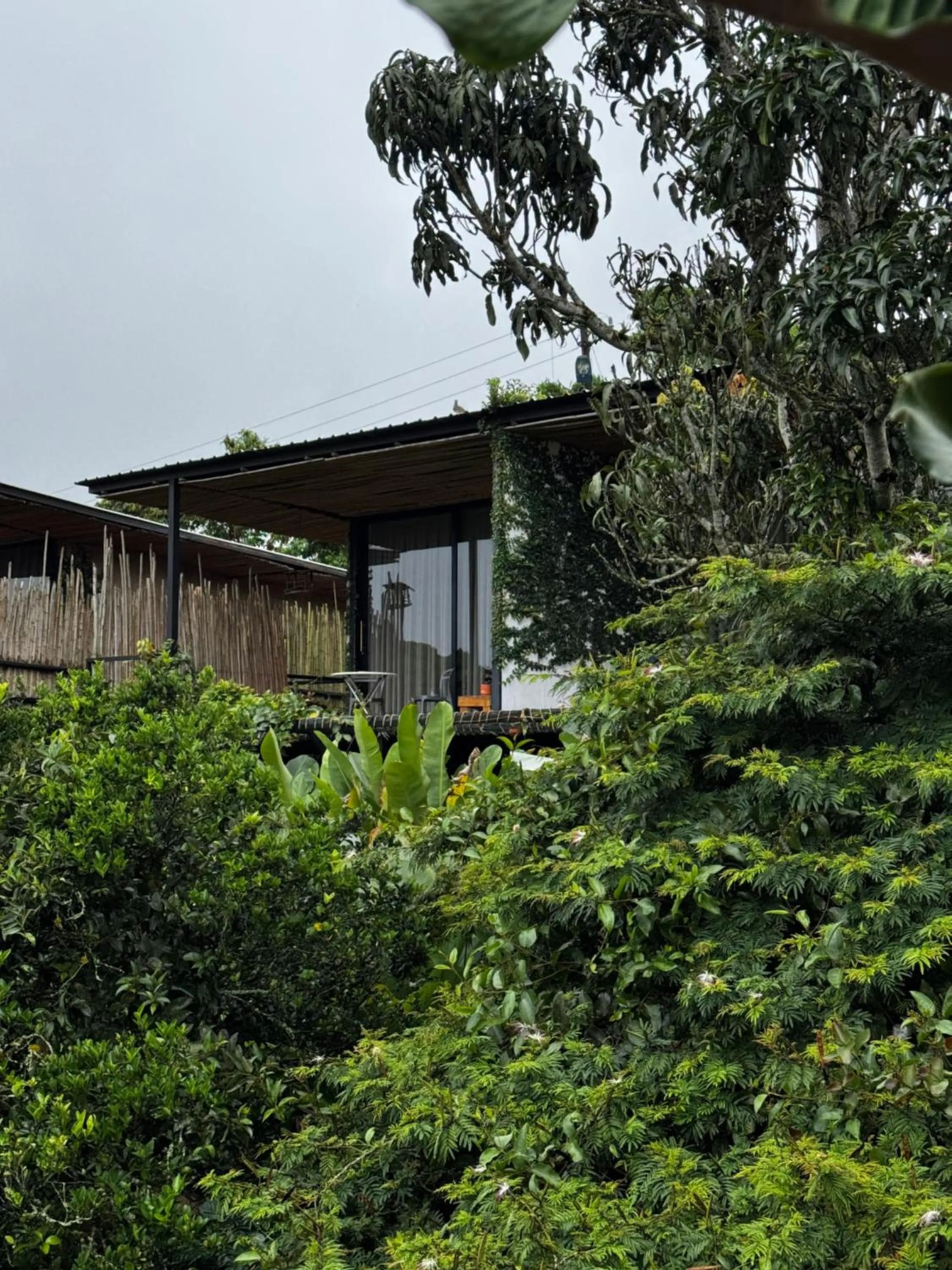 Natural Luxury Hotel