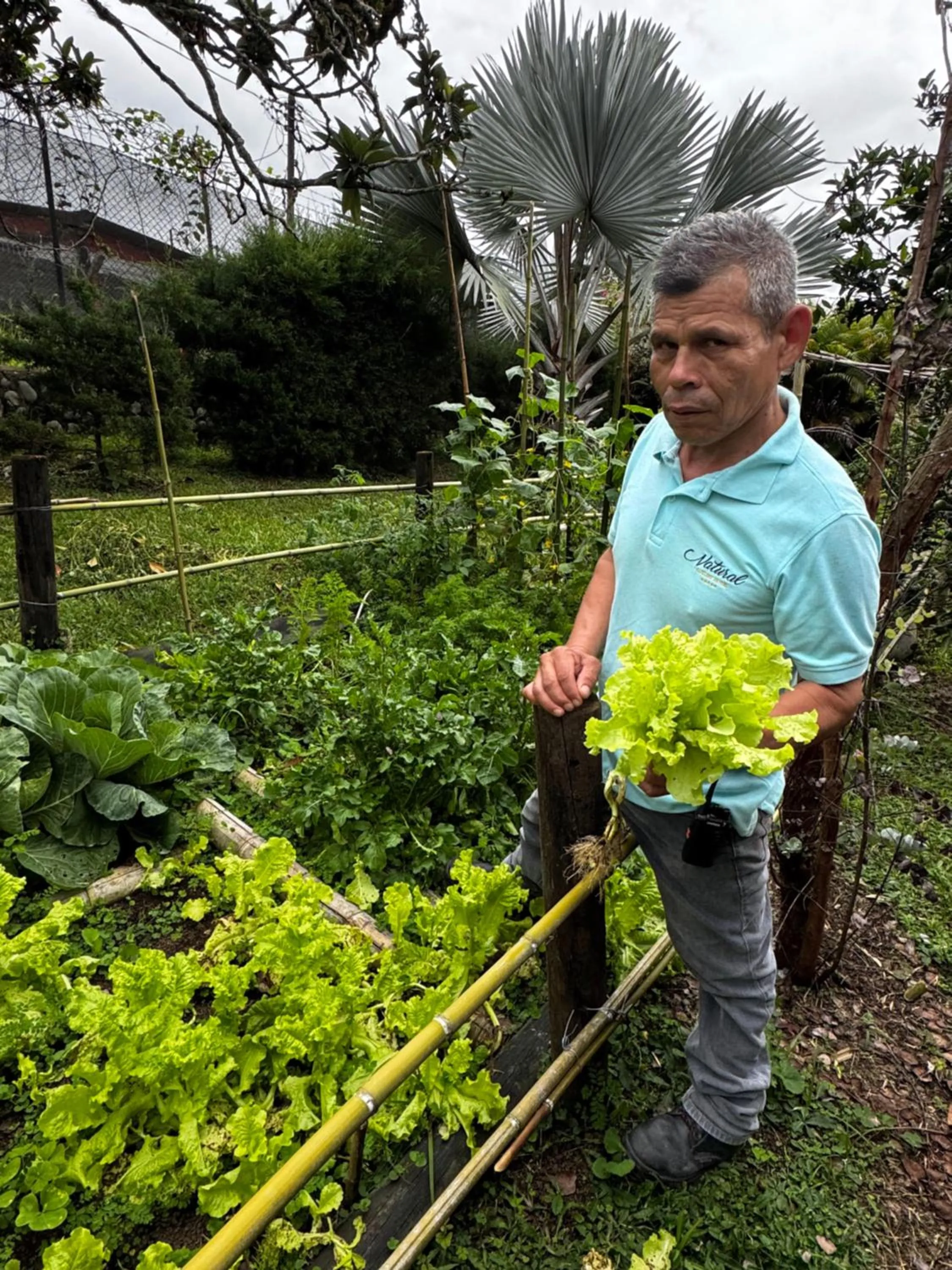 Natural Luxury Hotel