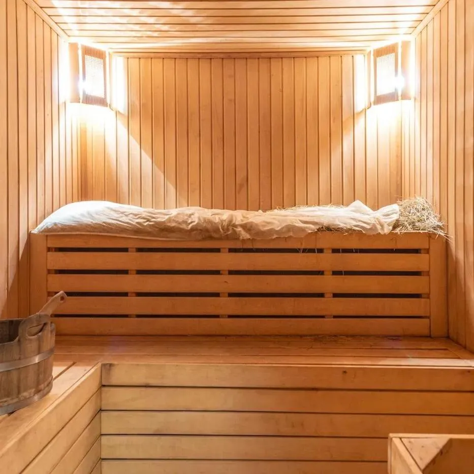 Sauna in Brut Hotel