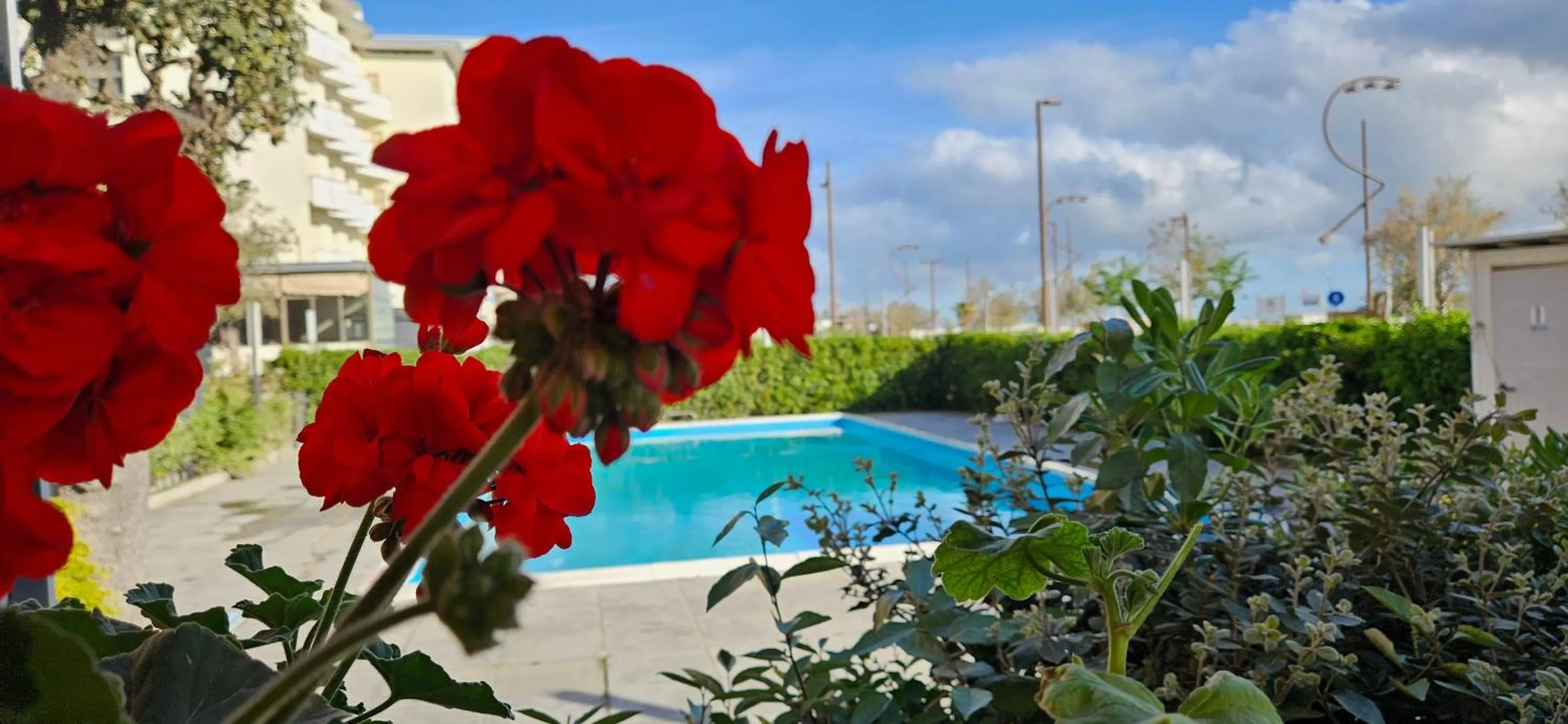 Swimming pool in Park Hotel