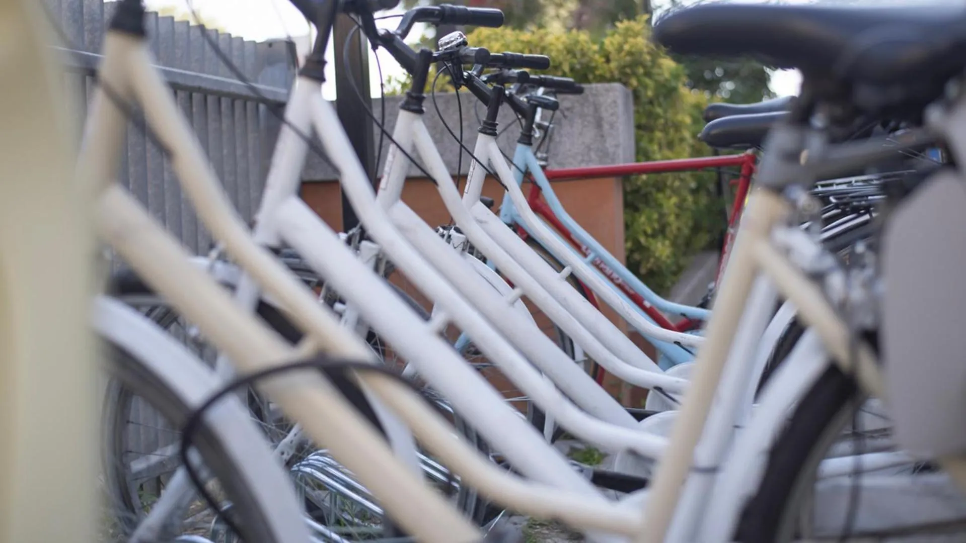 Cycling in Park Hotel