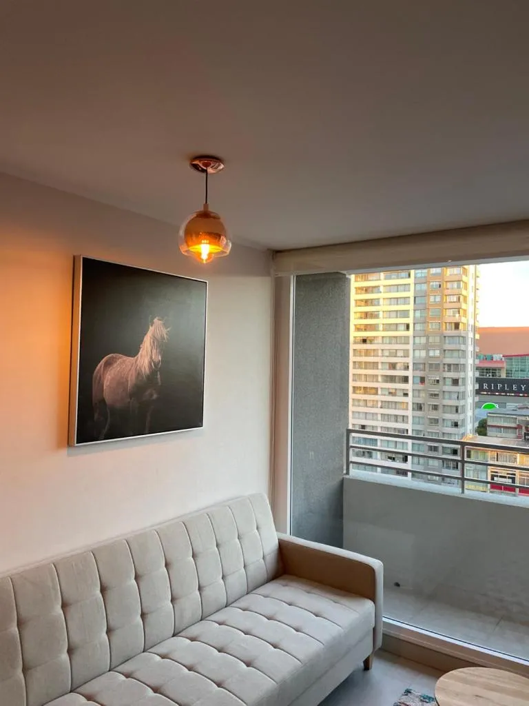 Apartamentos Concepción Centro