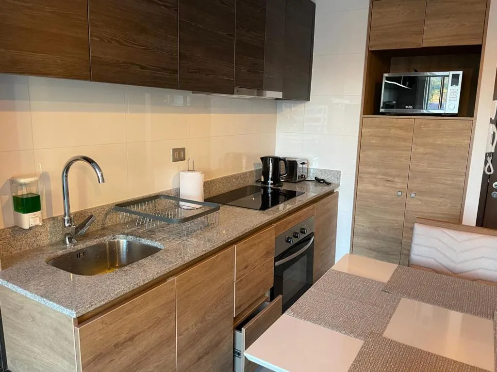 Apartamentos Concepción Centro