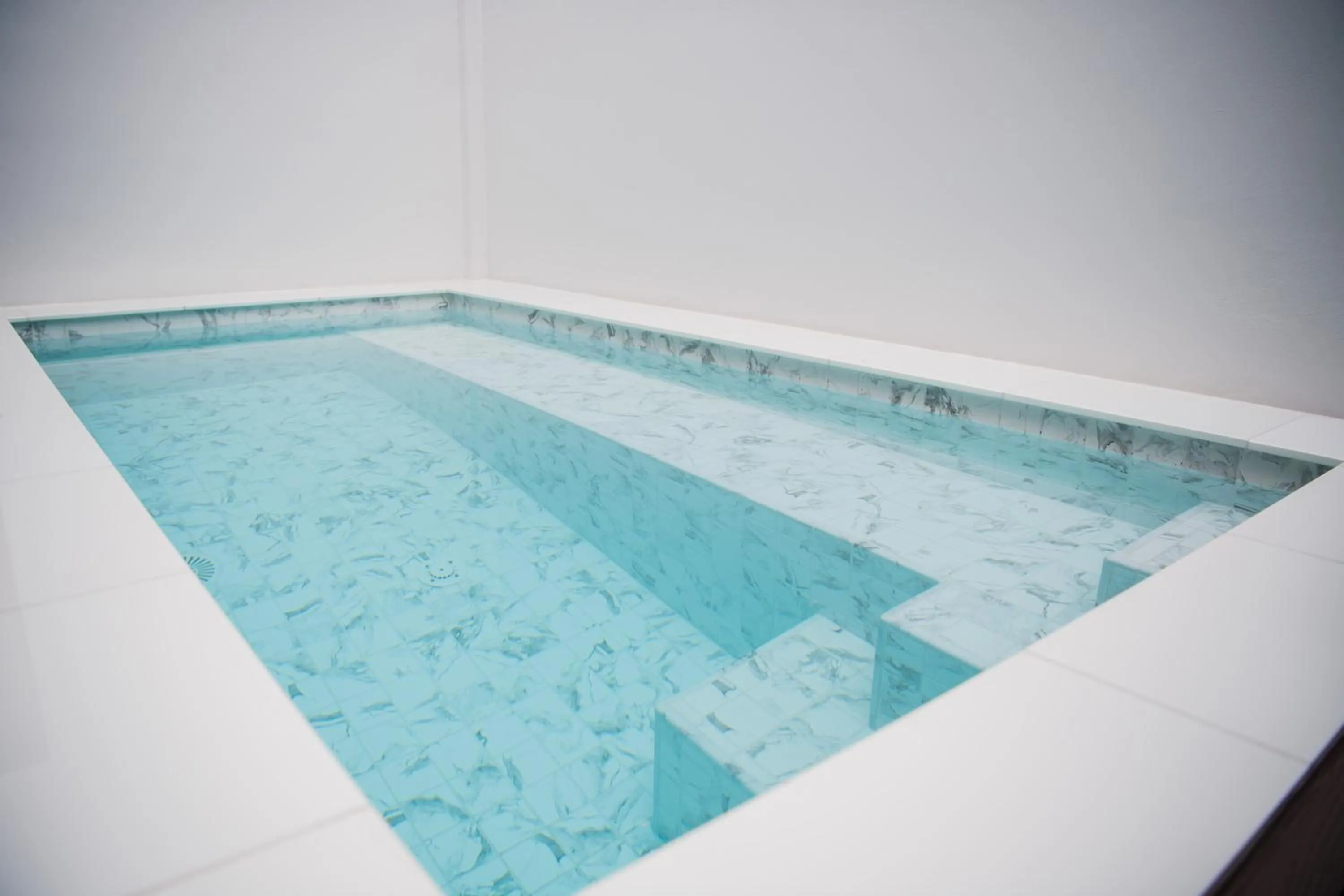 Swimming pool in VEVILLA