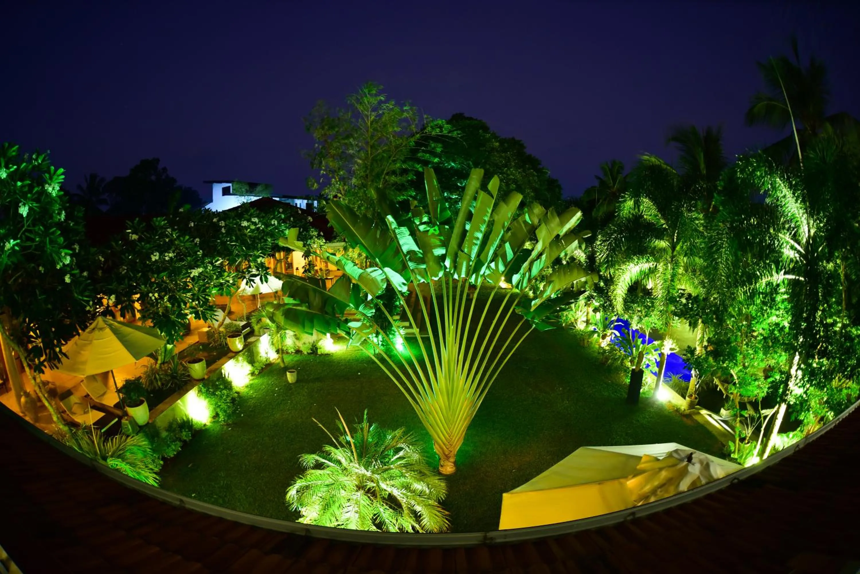Garden view in TROPICAL HOUSE - Jungleside Villa