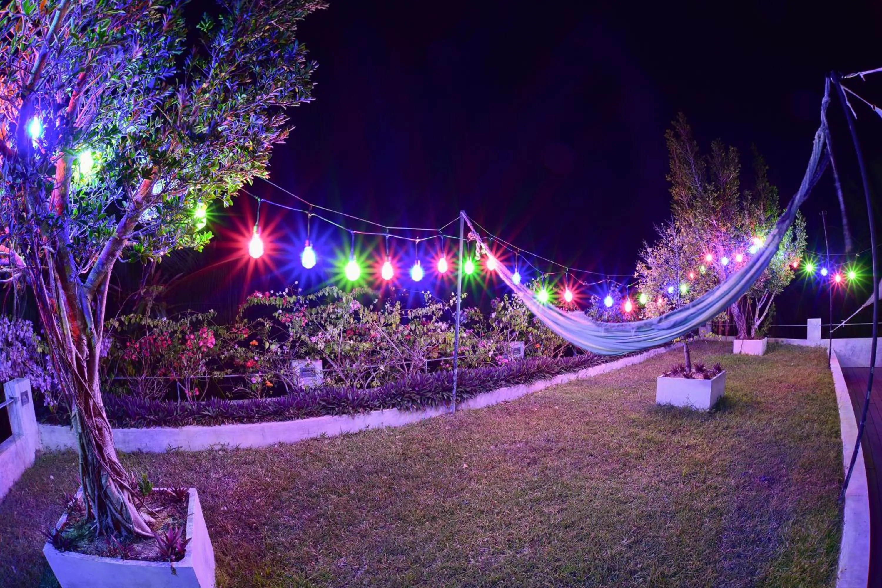 TROPICAL HOUSE - Jungleside Villa