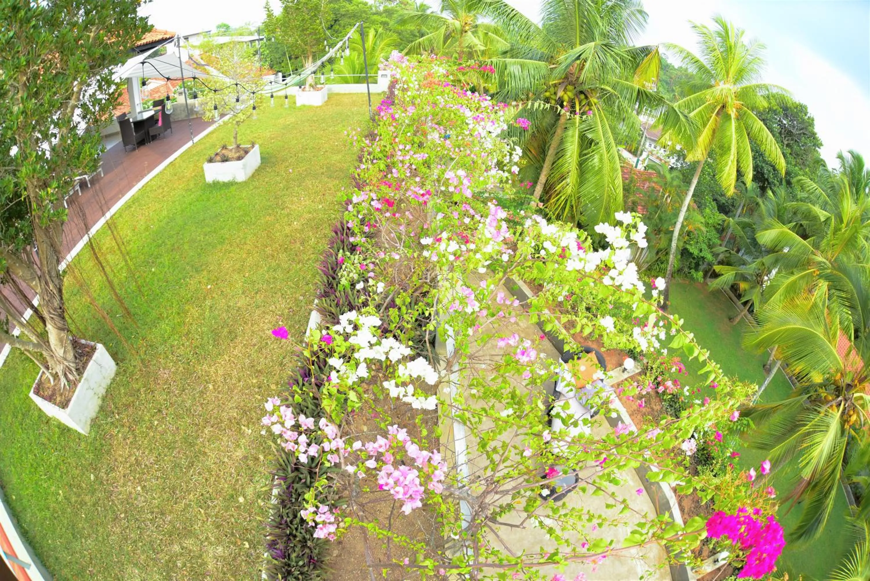 TROPICAL HOUSE - Jungleside Villa