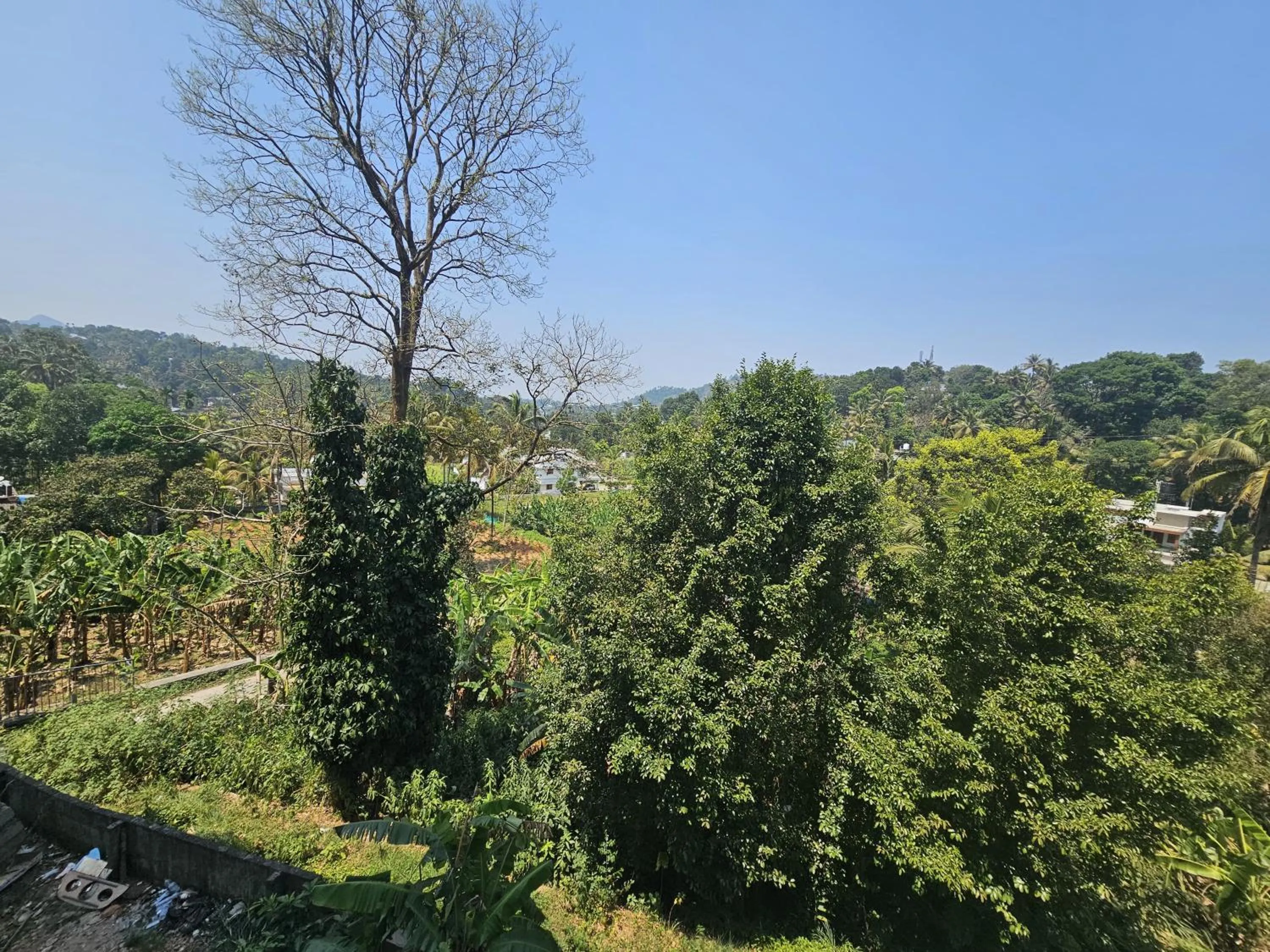 Mountain view in MIST RESIDENCY