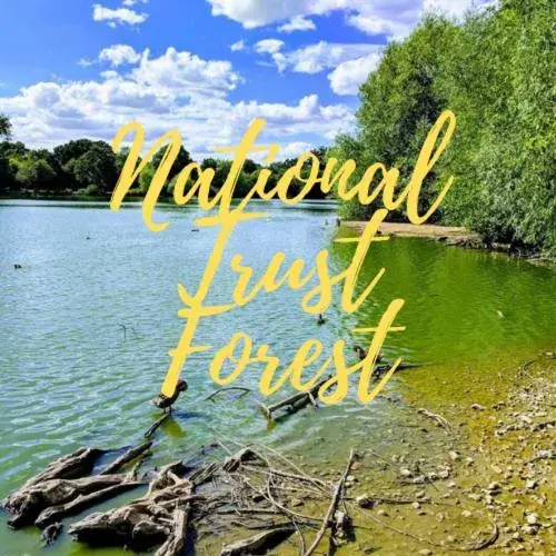 Neighbourhood in Stansted Airport Guest Rooms Neighbourhood in Stansted Airport Guest Rooms