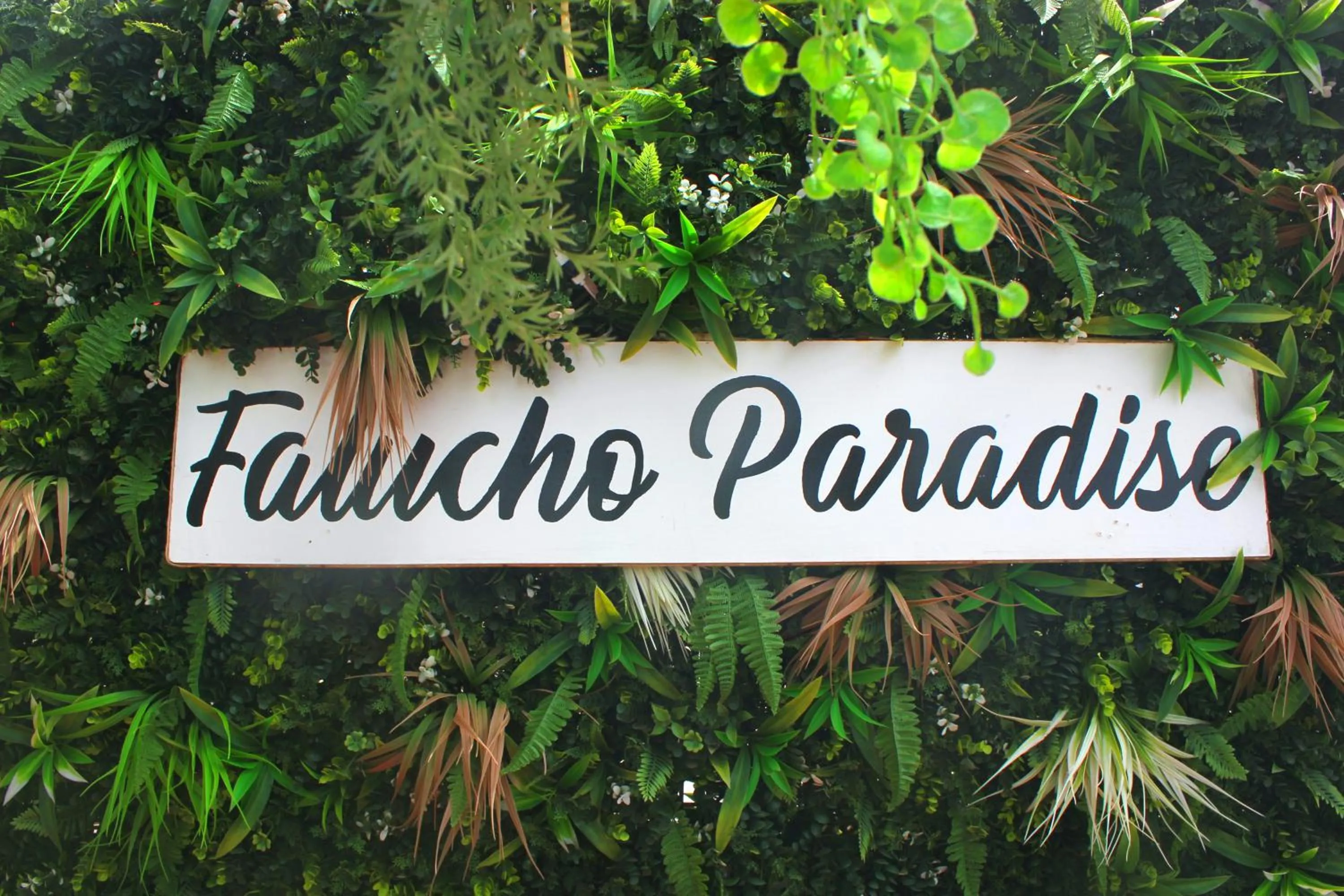 Facade/entrance in Falucho Paradise Beach