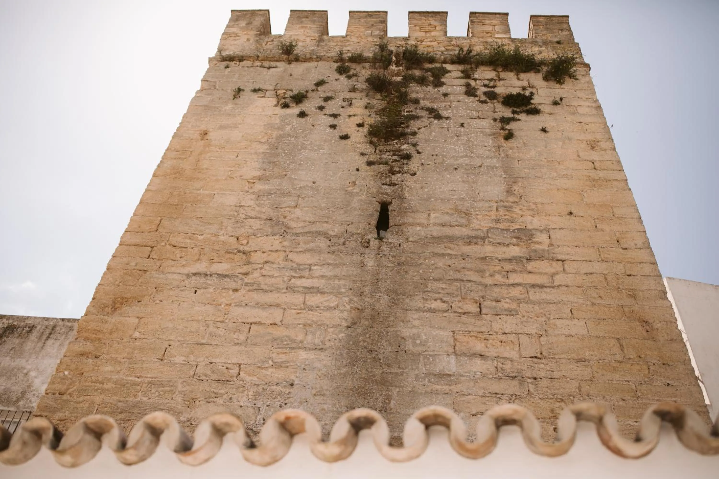 Property building in Casa Aura Hotel