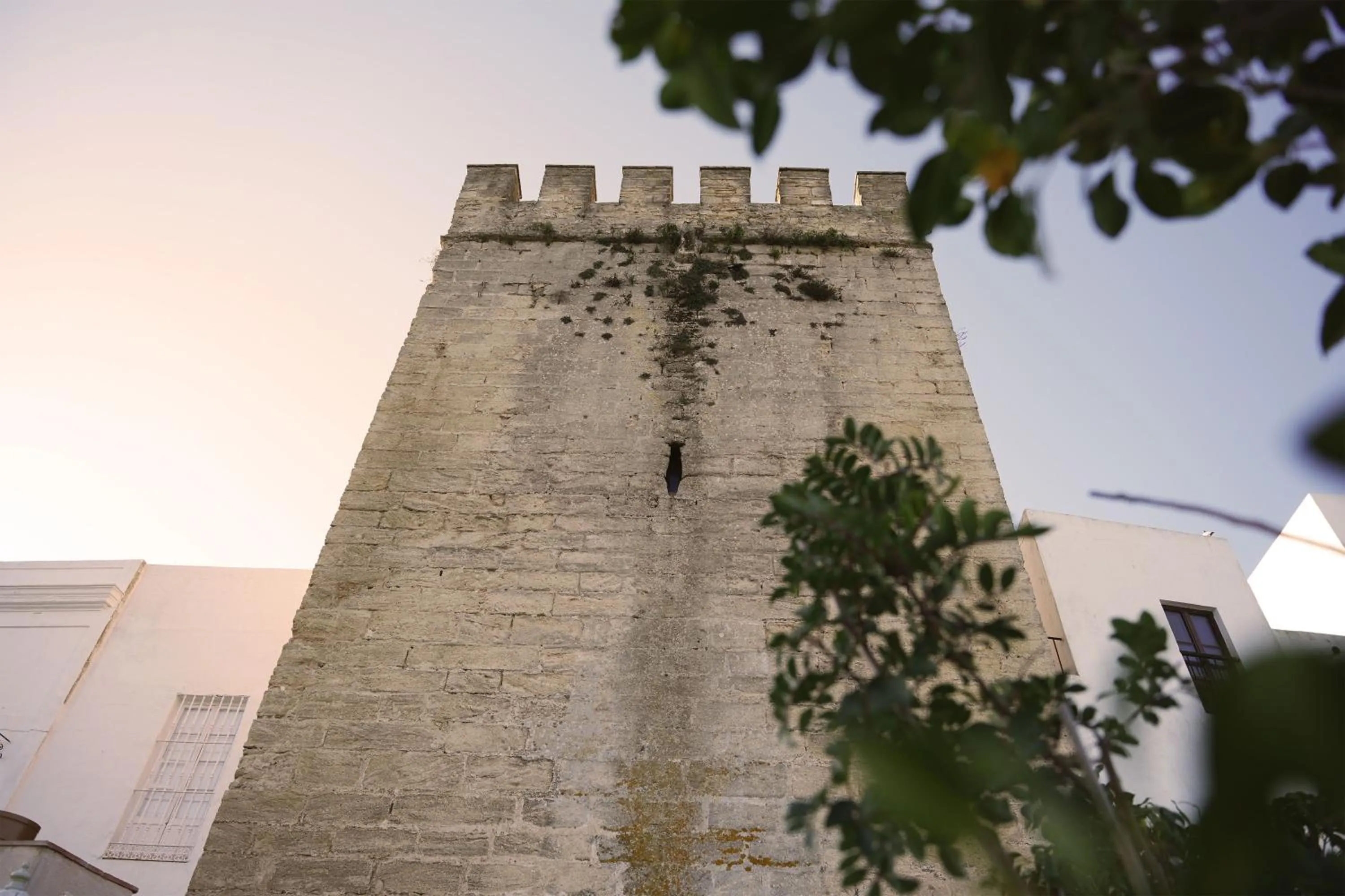 View (from property/room) in Casa Aura Hotel