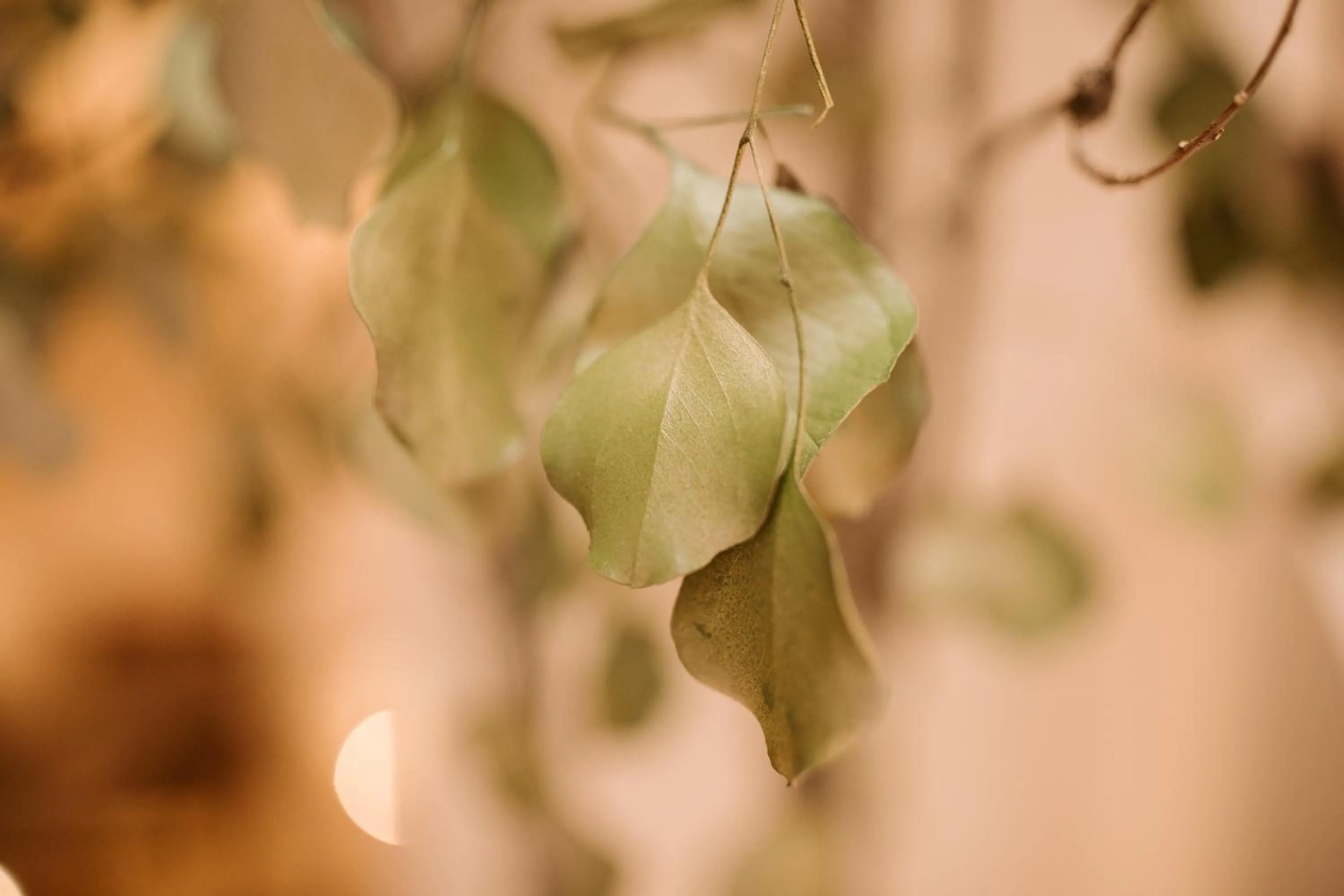 Seating area in Casa Aura Hotel