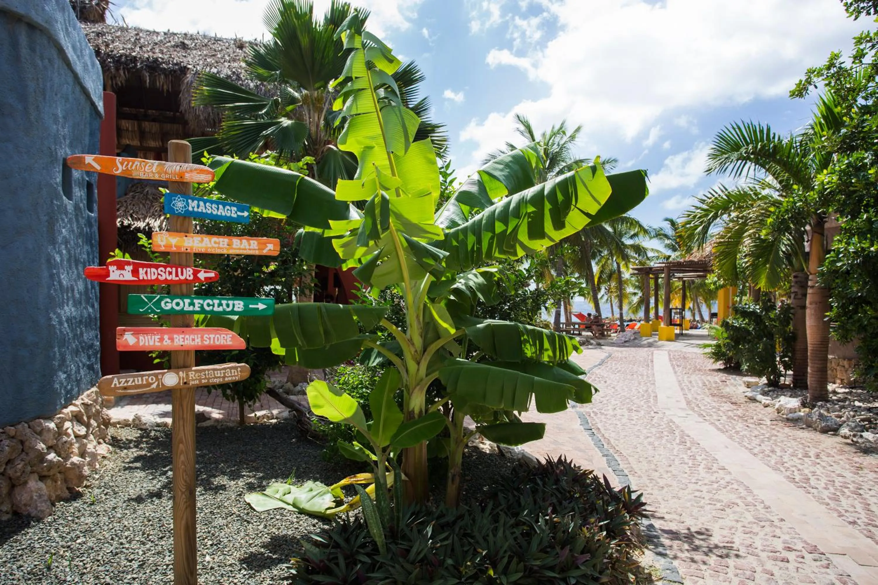 Beach in Blue Bay - The Reef