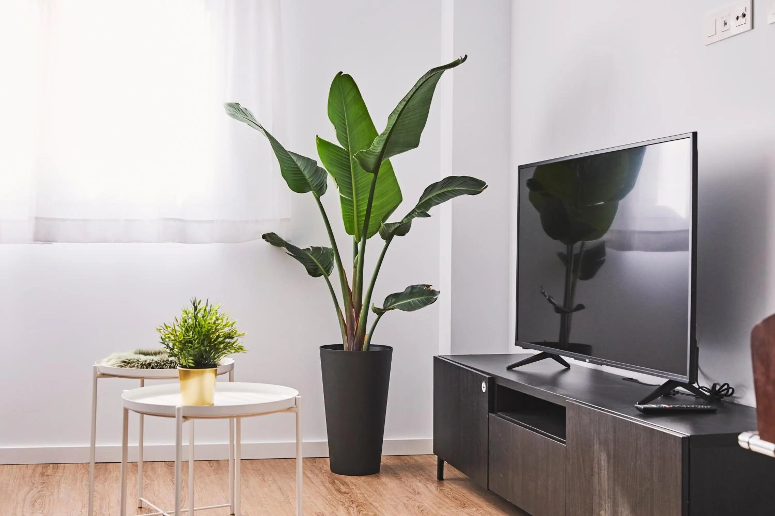 Living room in Ribalta Sensaciones