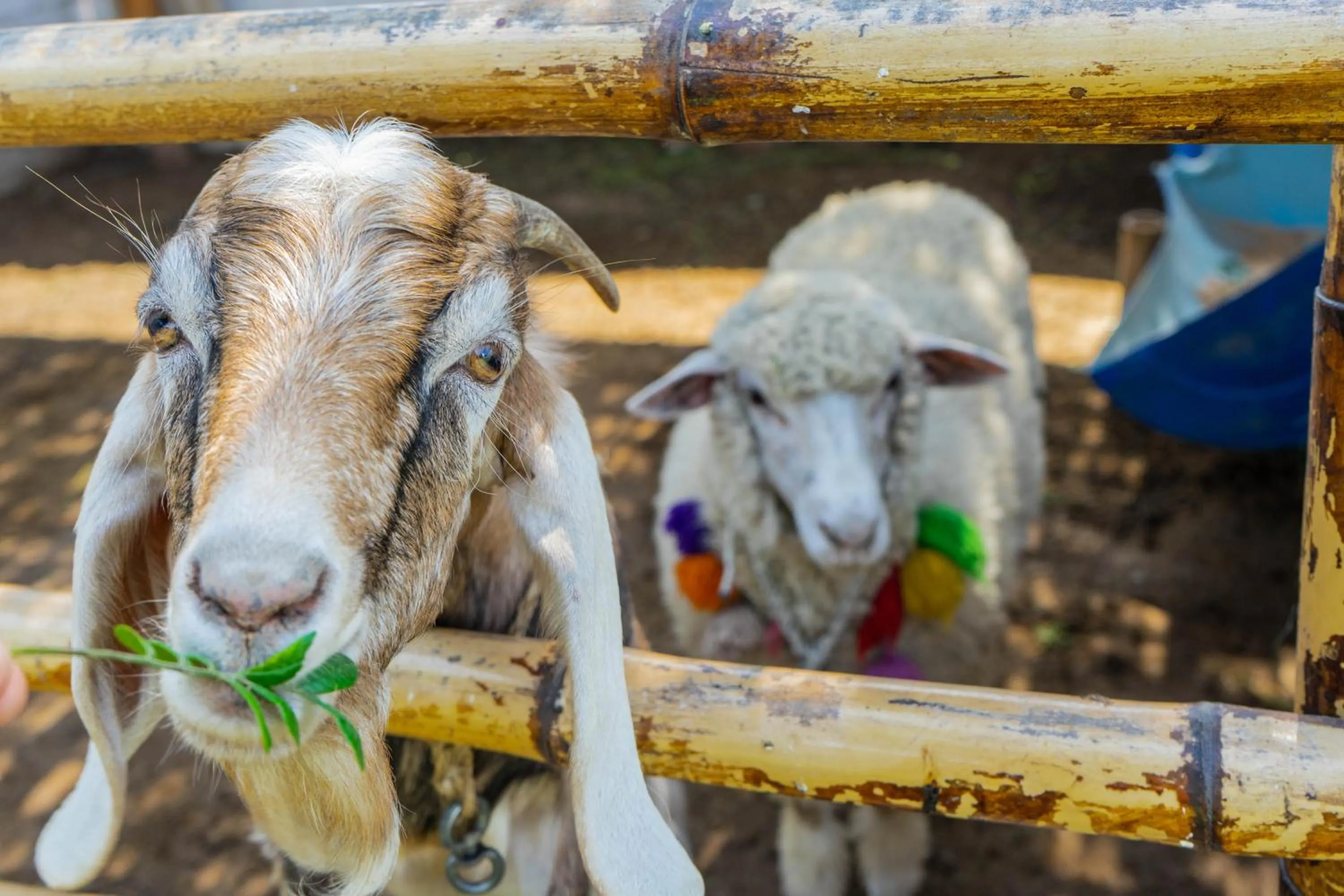 Property building in Hotel La Colina