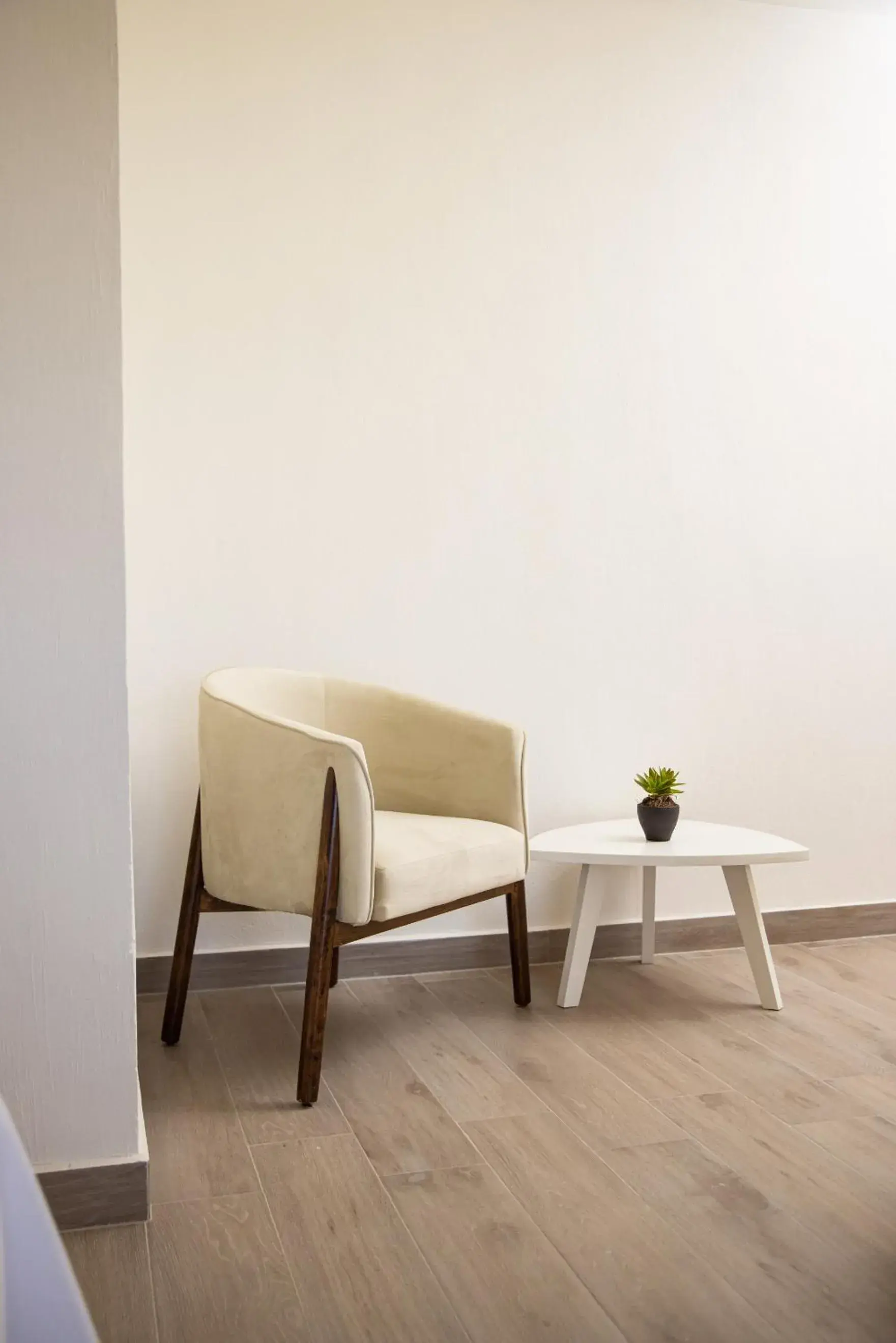 Seating area in Hotel Casa Jima Agave Seating area in Hotel Casa Jima Agave