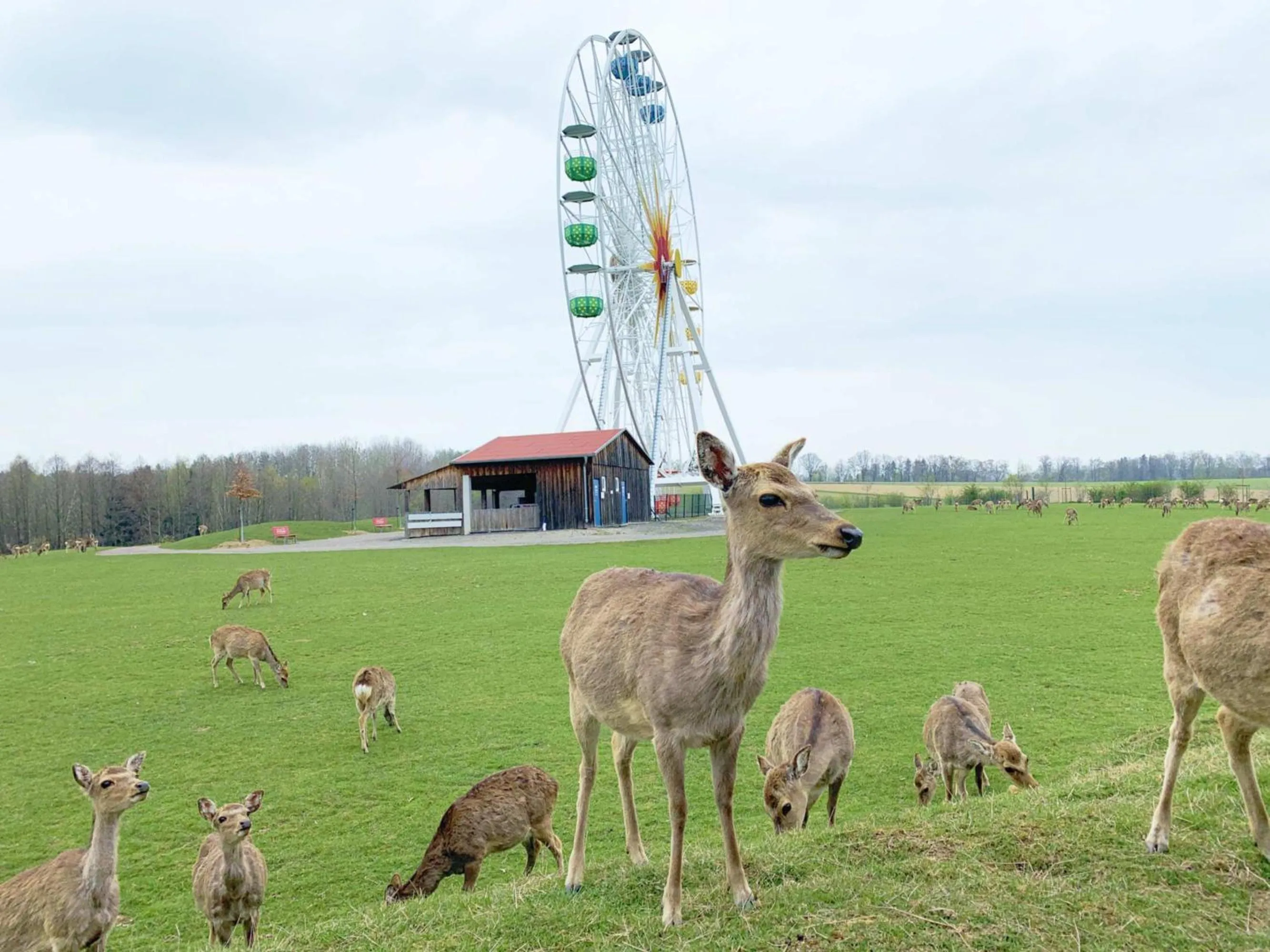 Nearby landmark in Hotel am Sonnenlandpark