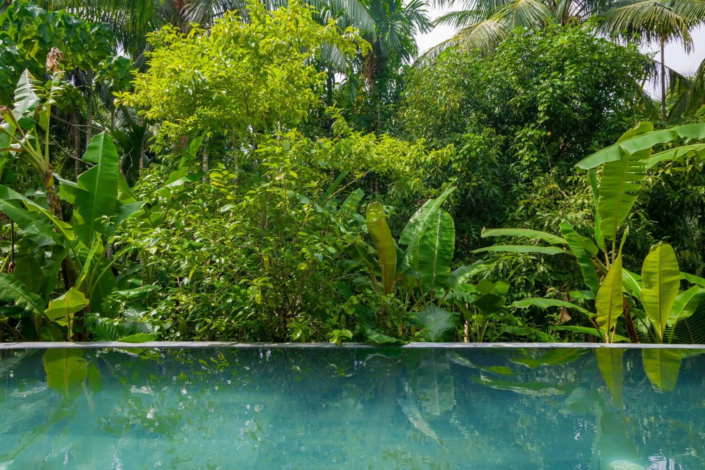 Swimming pool in Satya Boutique Resort & Spa