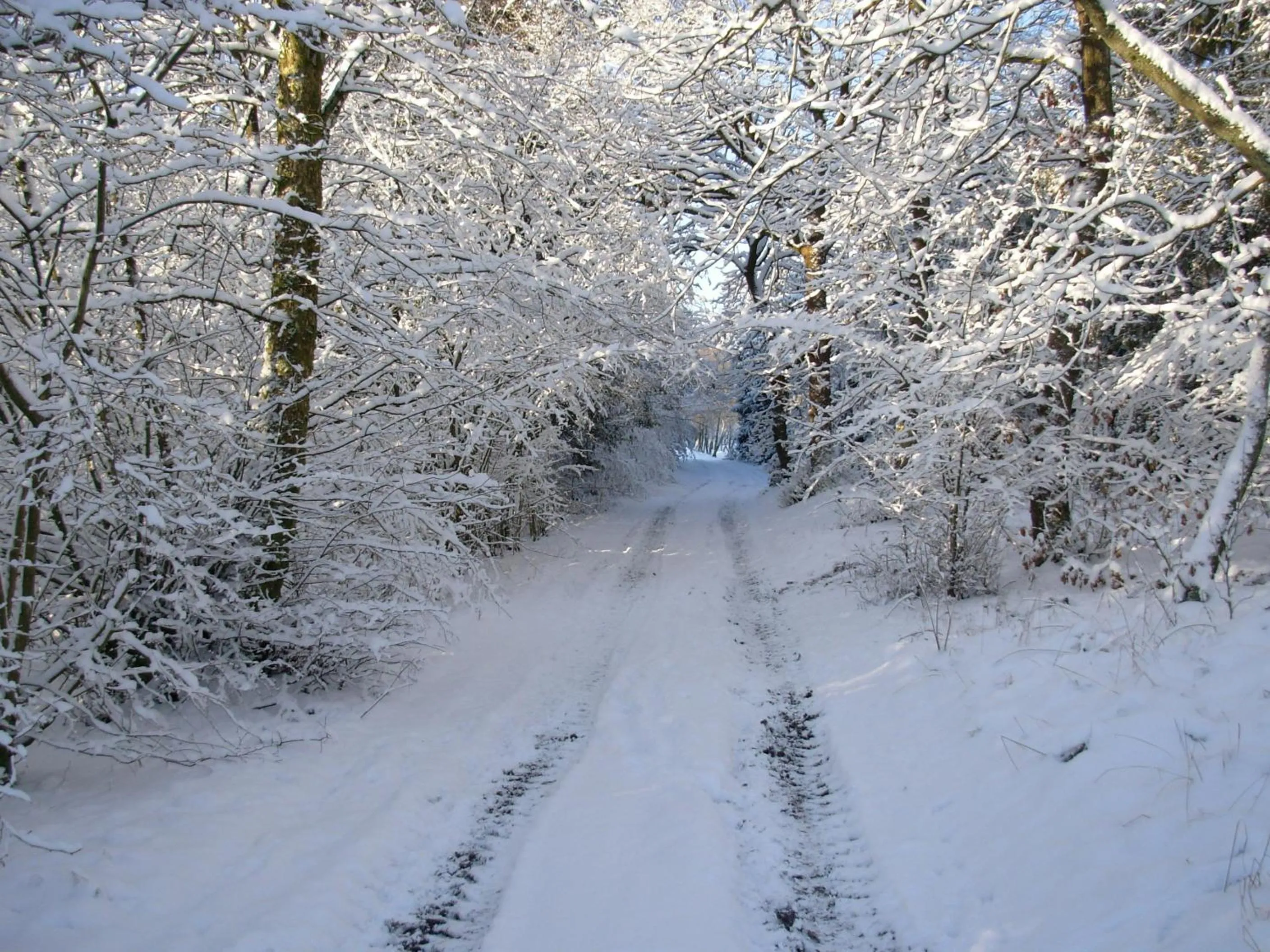Area and facilities in Gregersminde