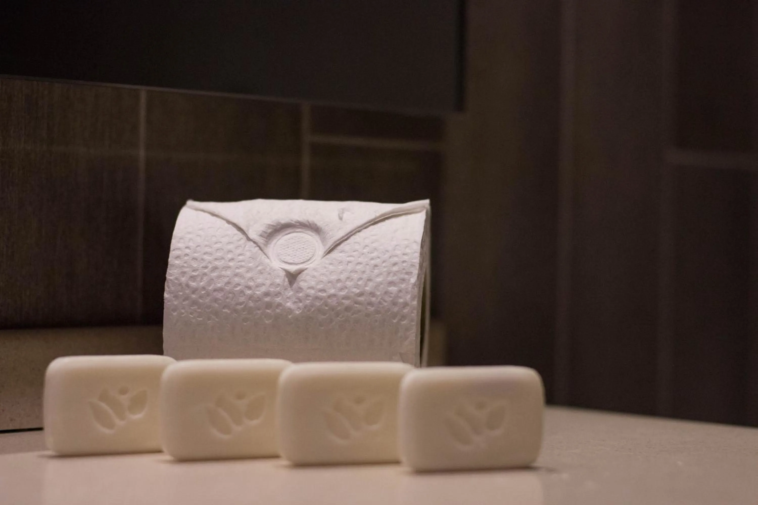 Bathroom in Hotel Bariloche Suites