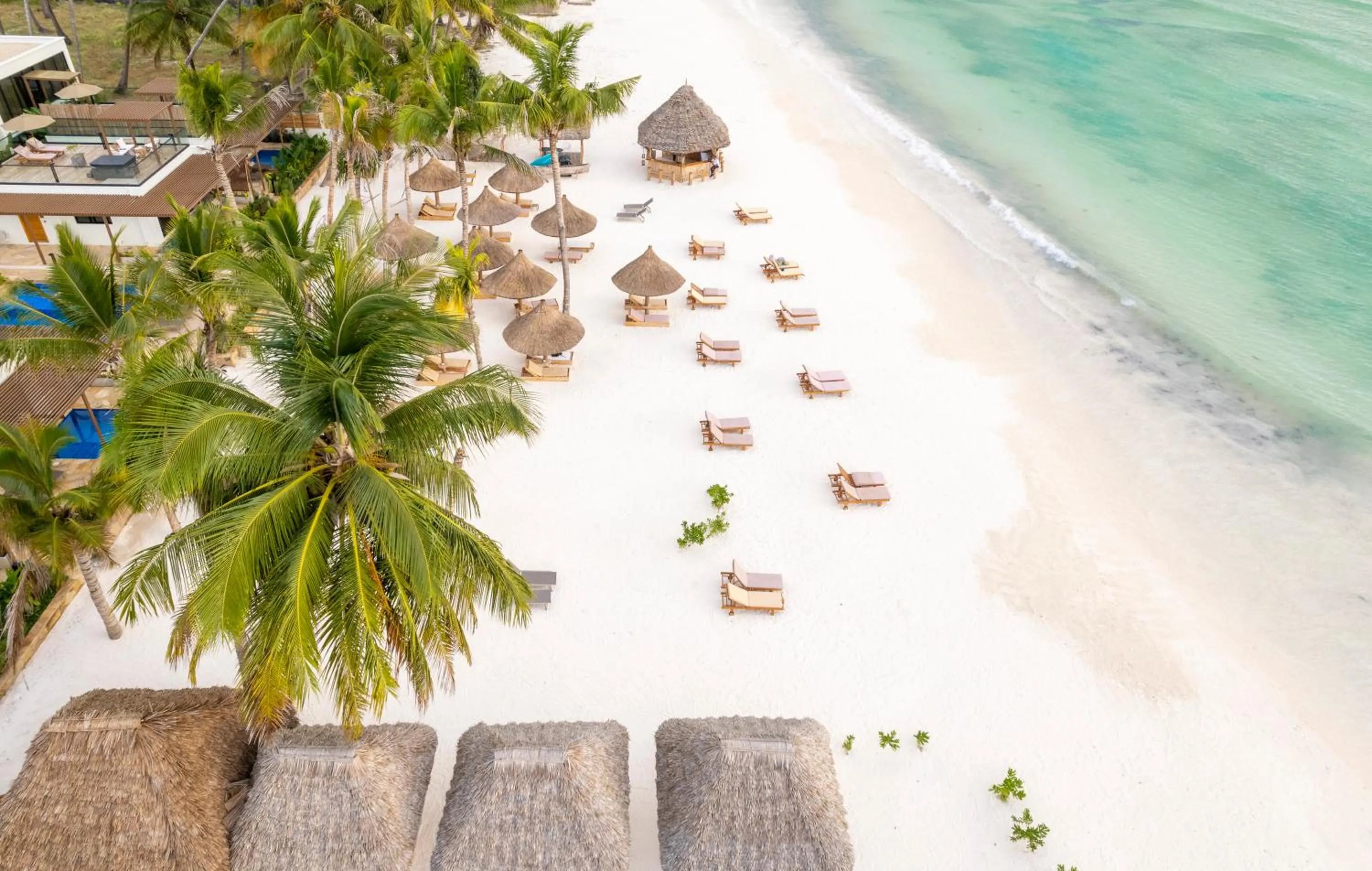 Beach in TOA Hotel & Spa Zanzibar