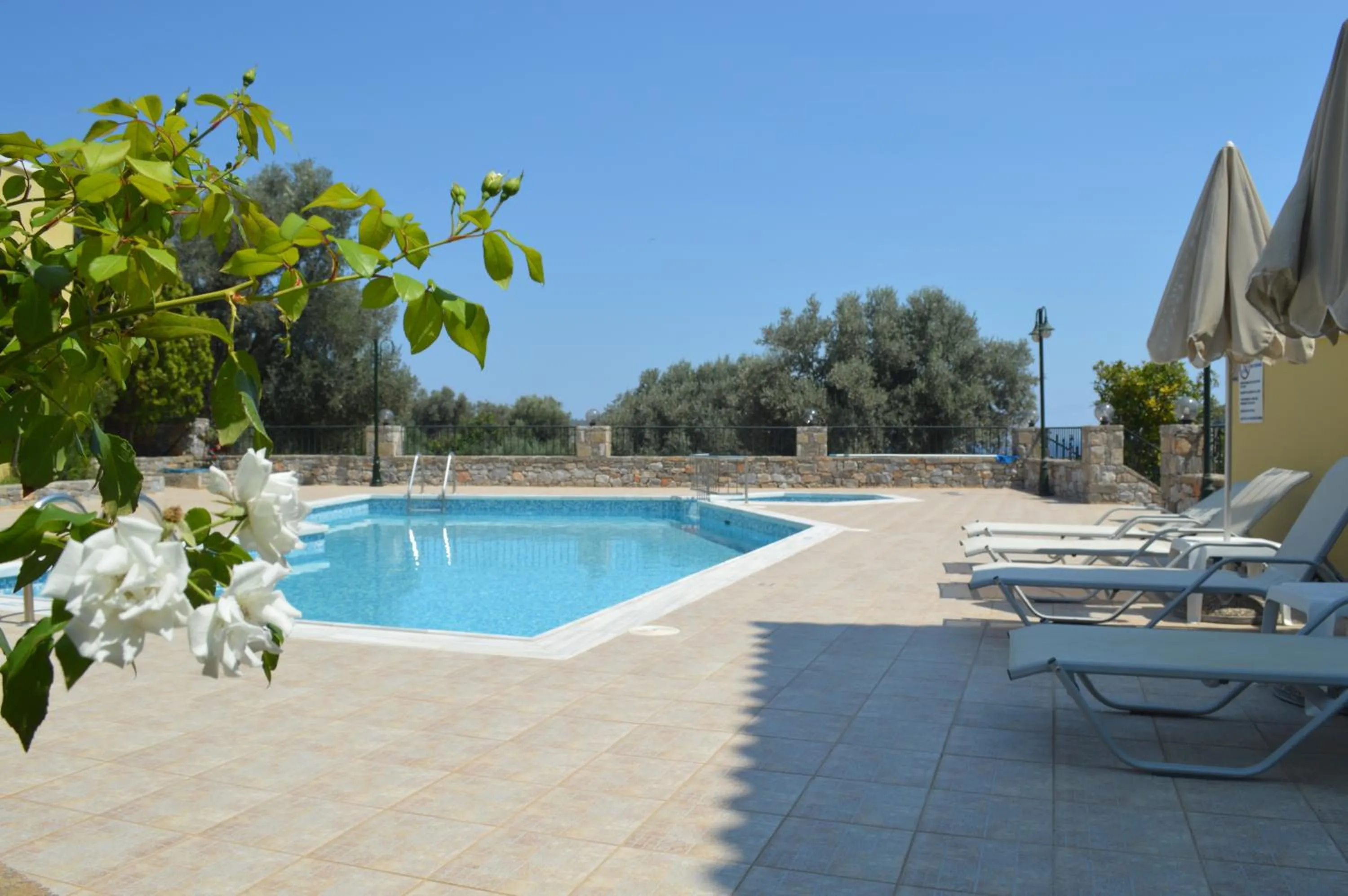 Pool view in Argyro Villa