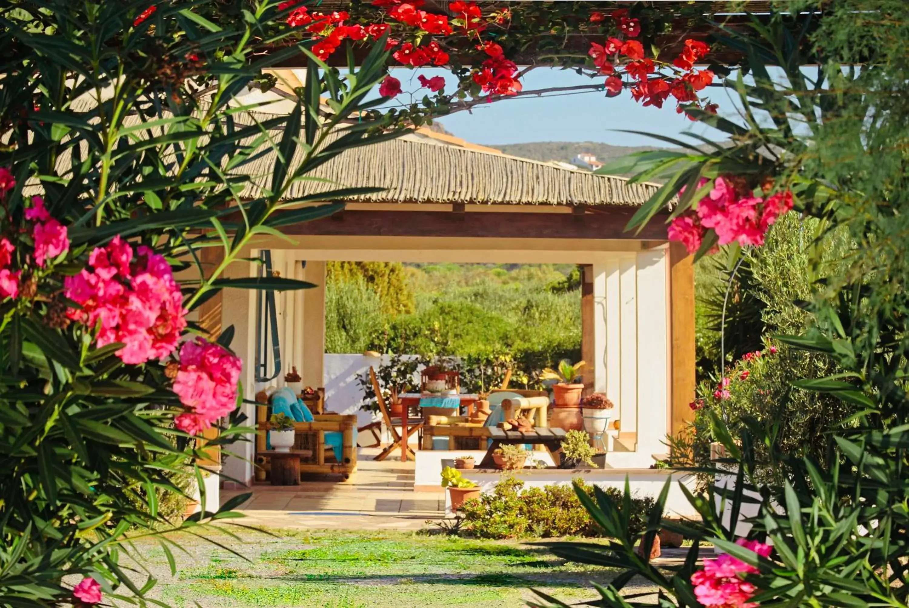 Alba B&B Alba B&B