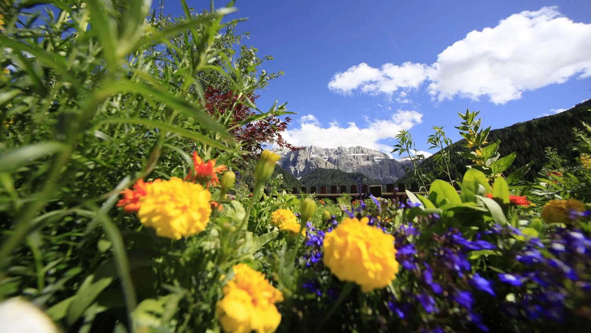 Spring in Residence Villa al Sole