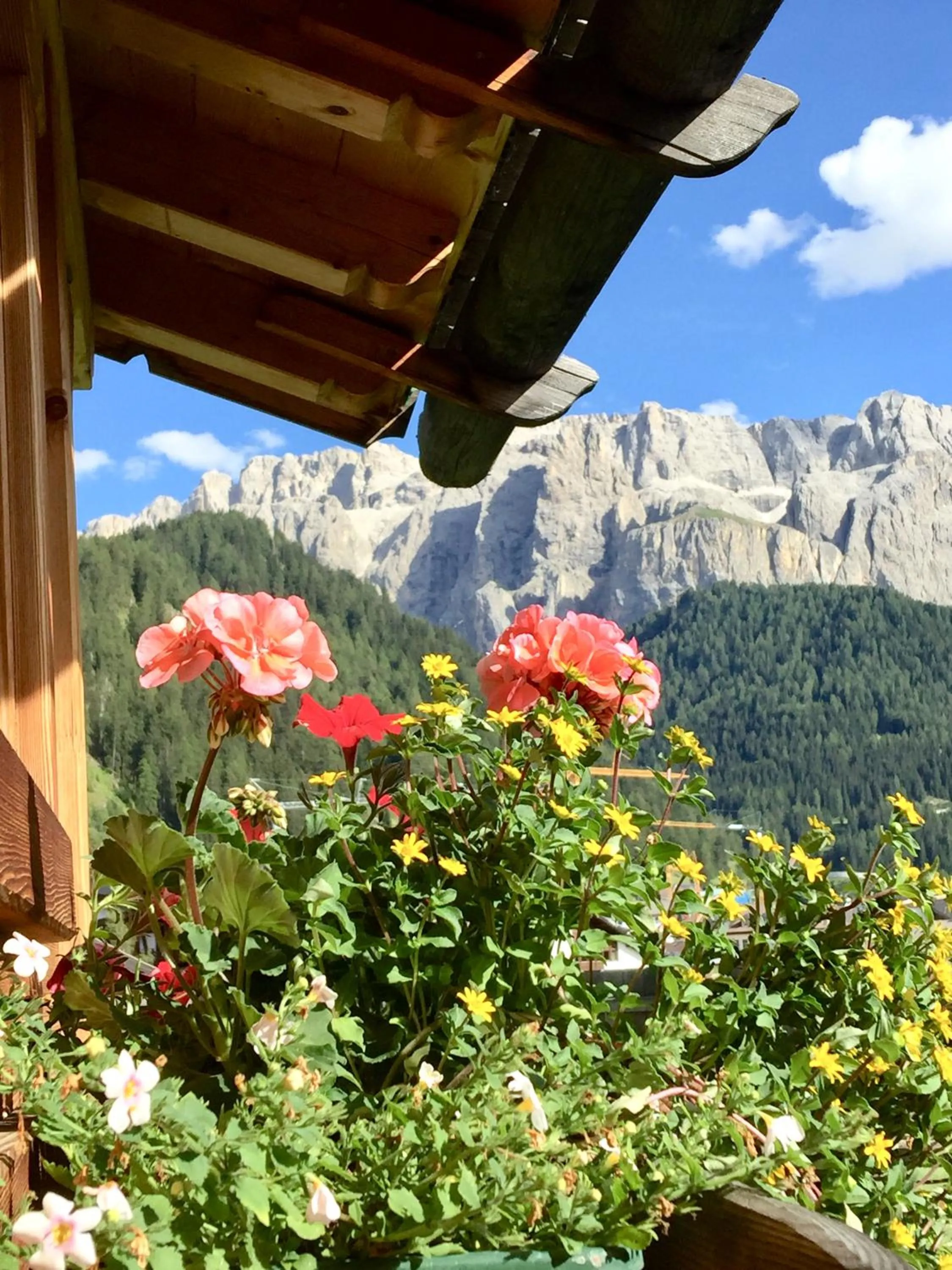 Natural landscape in Residence Villa al Sole