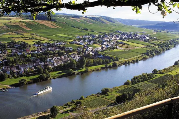 Neighbourhood in Weingut & Gästehaus Andreas Erz