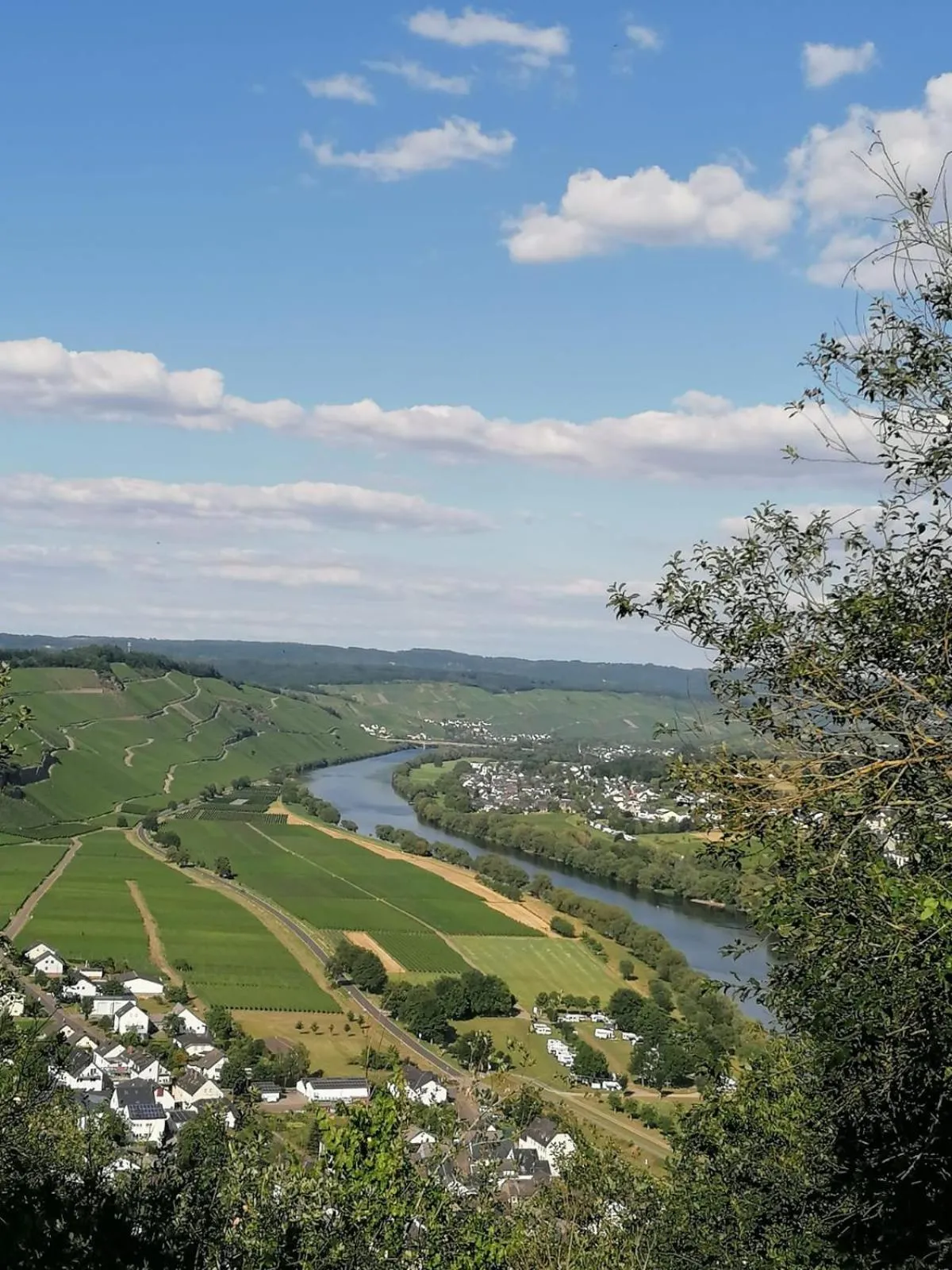 Activities in Weingut & Gästehaus Andreas Erz