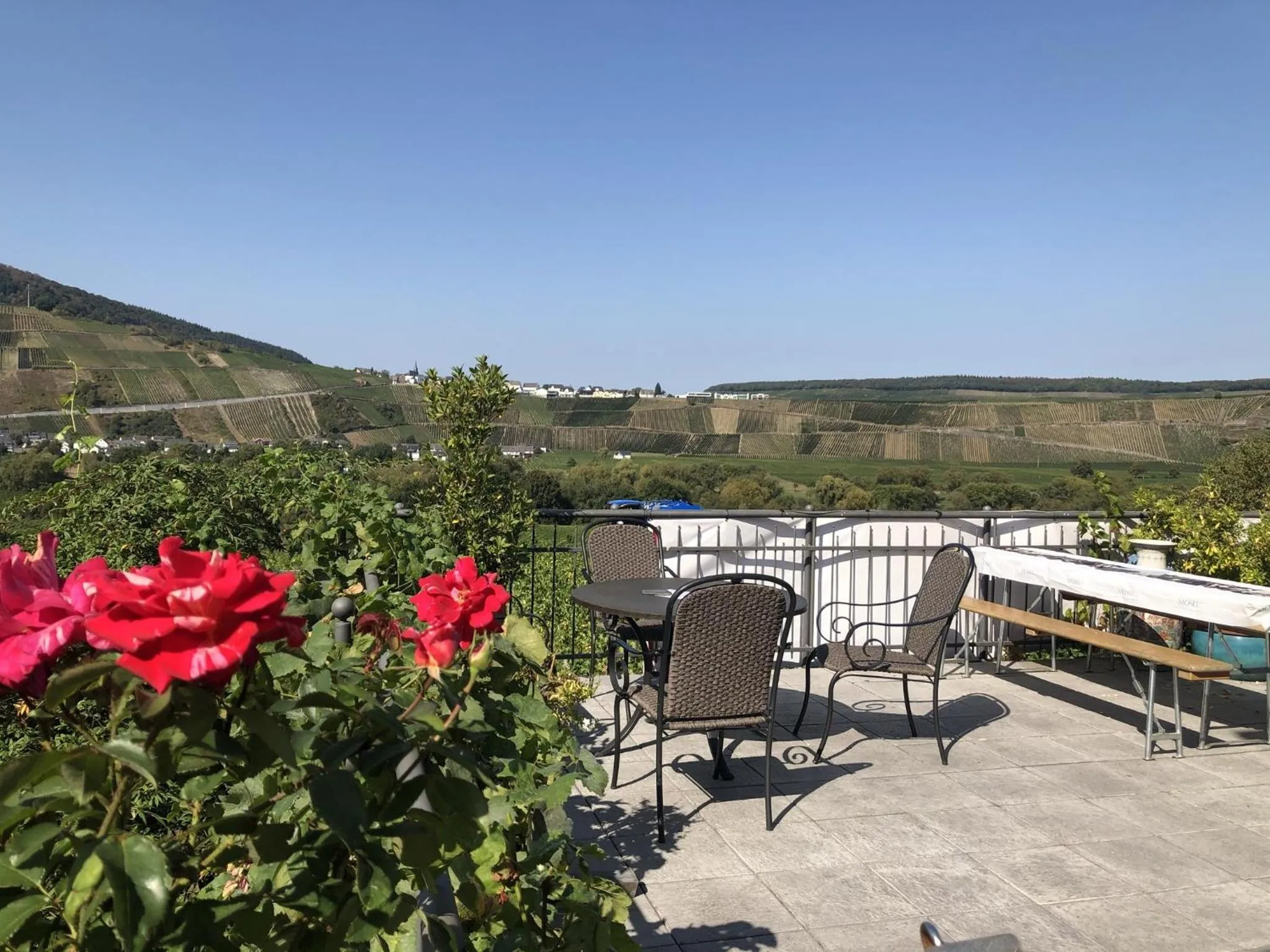 View (from property/room) in Weingut & Gästehaus Andreas Erz