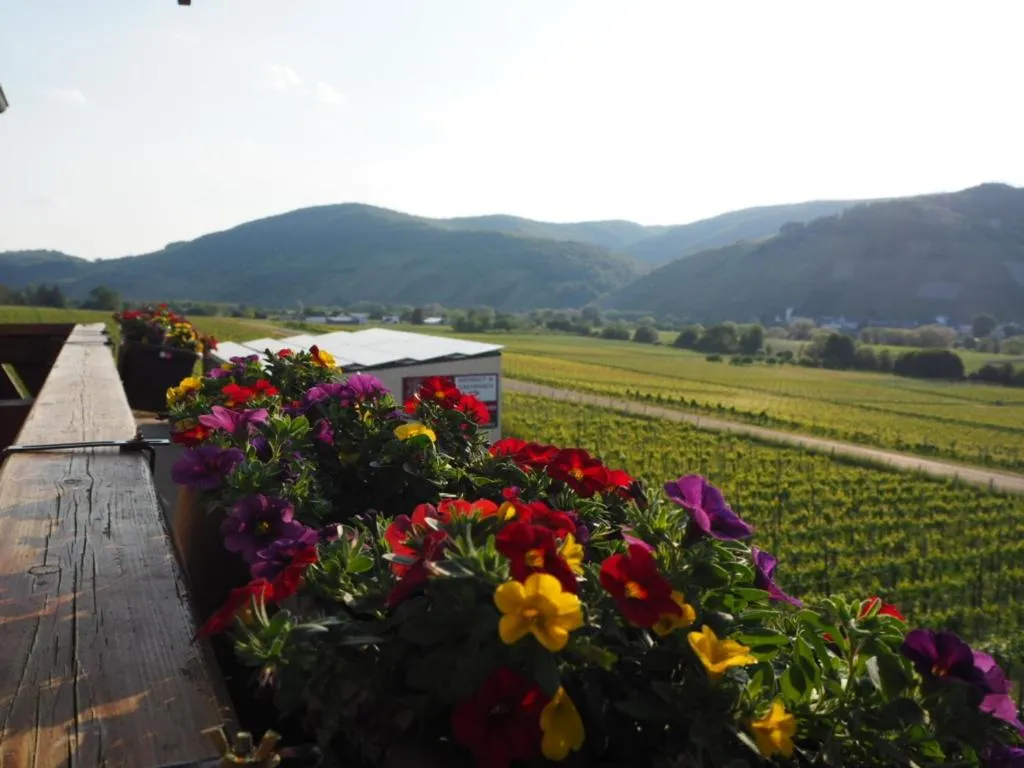 Balcony/Terrace in Weingut & Gästehaus Andreas Erz