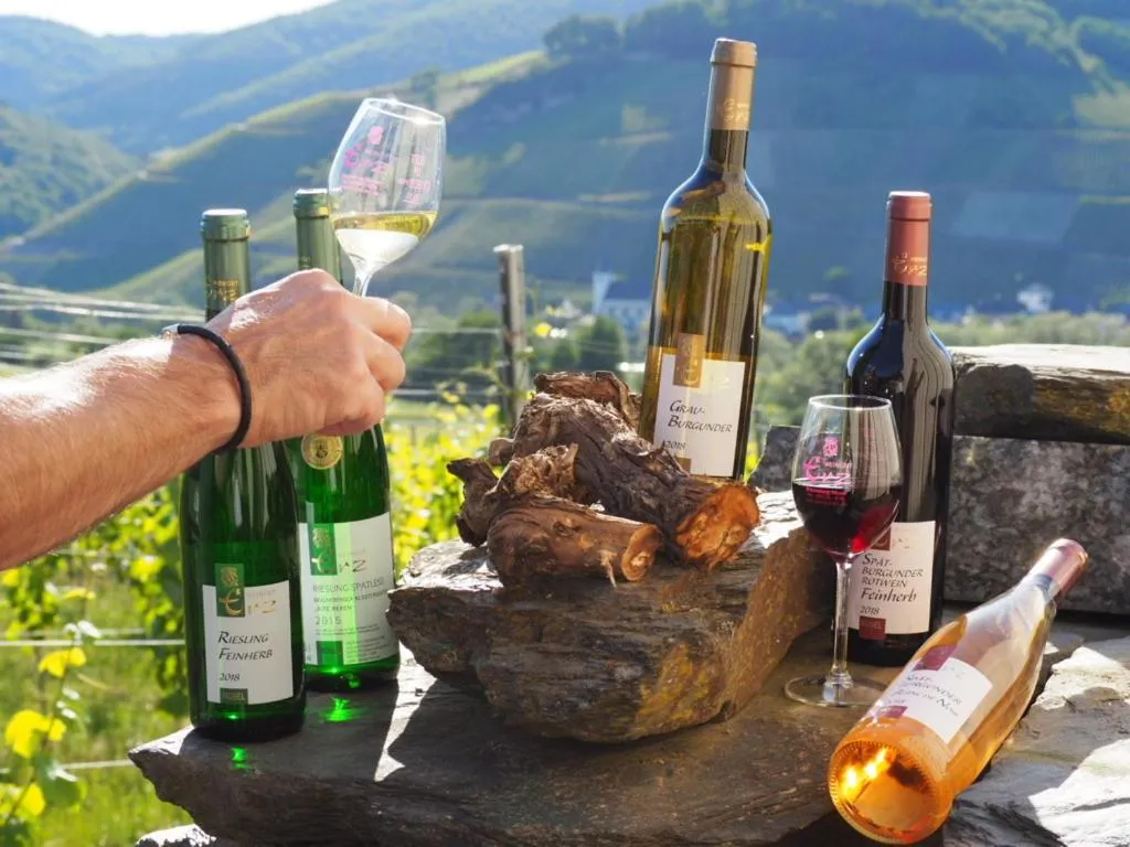 Food and drinks in Weingut & Gästehaus Andreas Erz